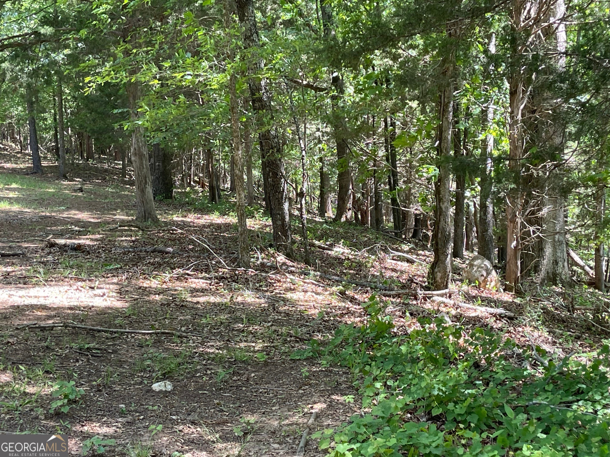 Tract 1b Chalcrest Way Property Photo 11