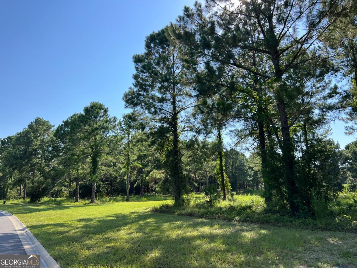 V/l 528 Beacon Pointe Parkway Property Photo 11