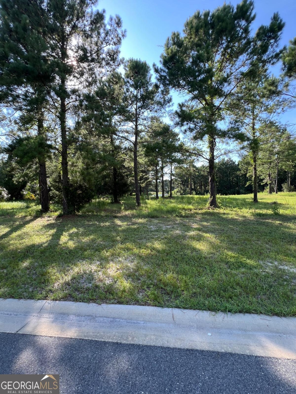 V/l 528 Beacon Pointe Parkway Property Photo 12