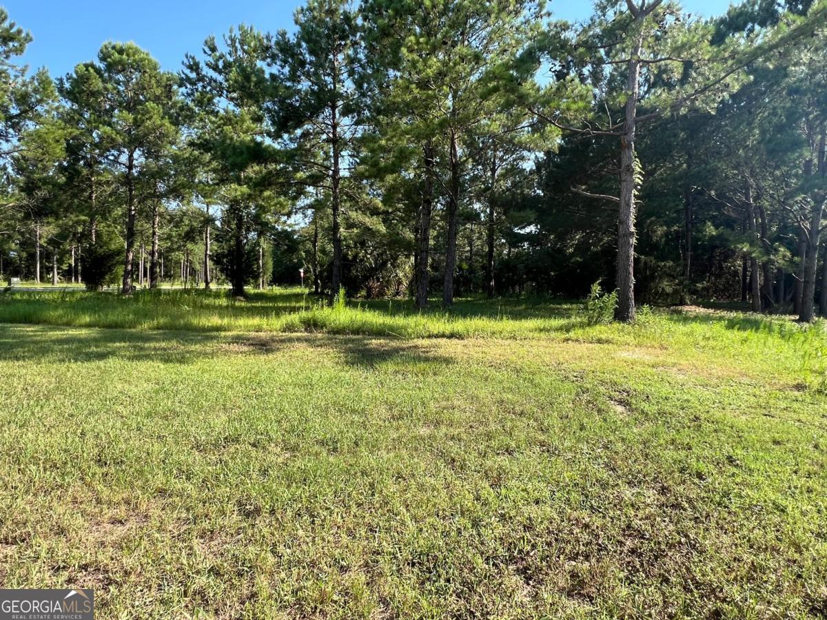 V/l 528 Beacon Pointe Parkway Property Photo 18
