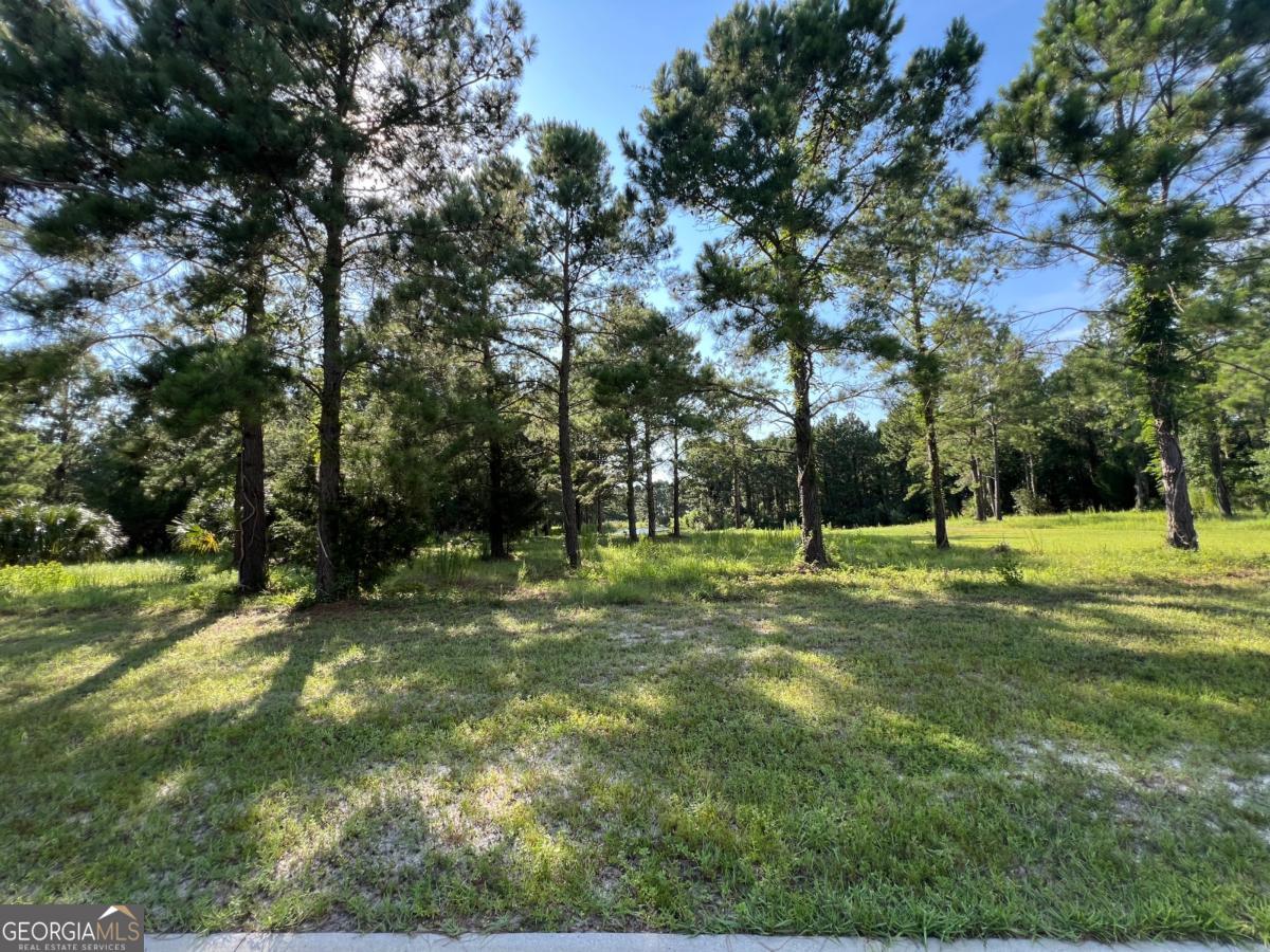 V/l 528 Beacon Pointe Parkway Property Photo 20