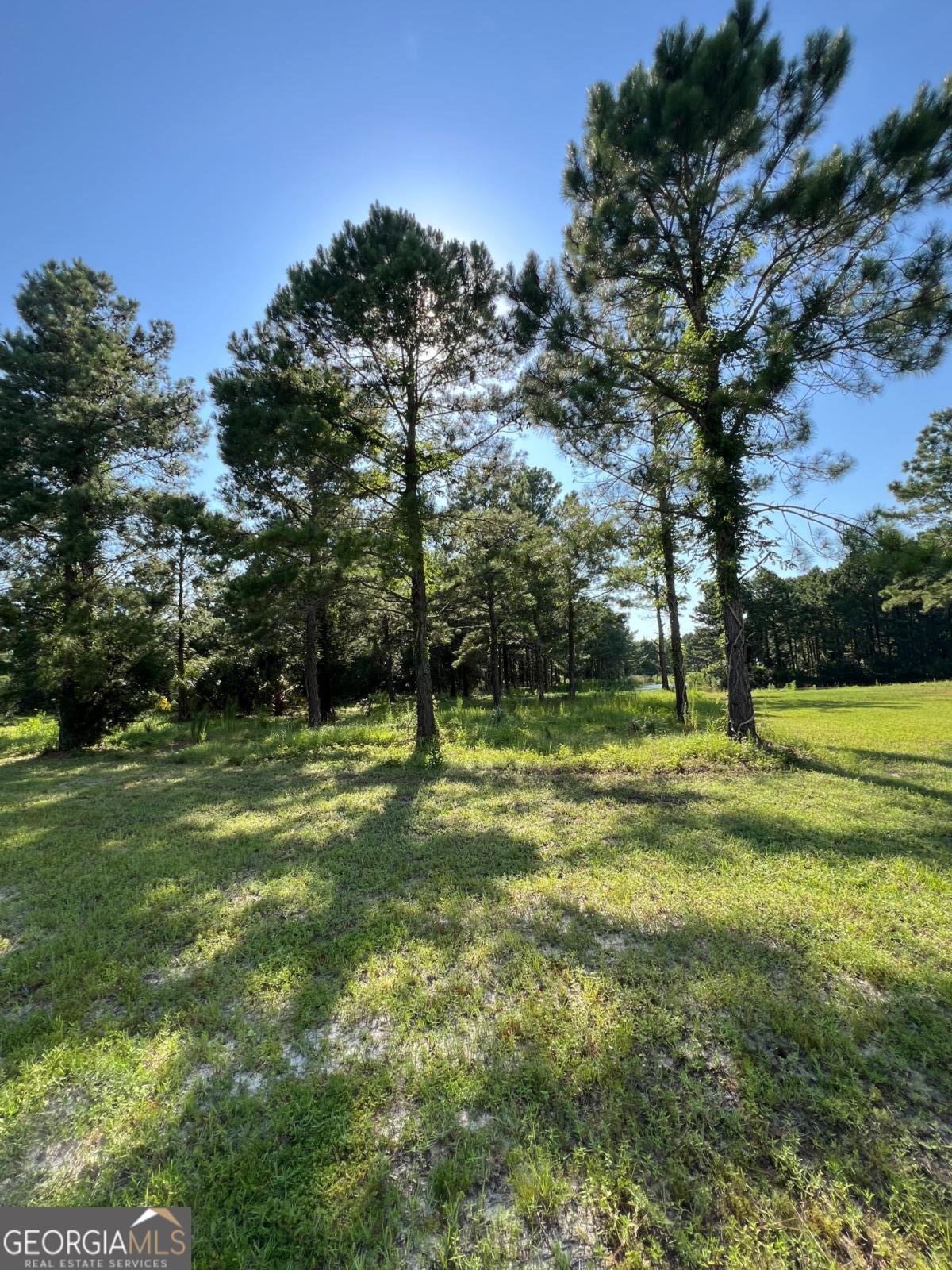 V/l 528 Beacon Pointe Parkway Property Photo 21