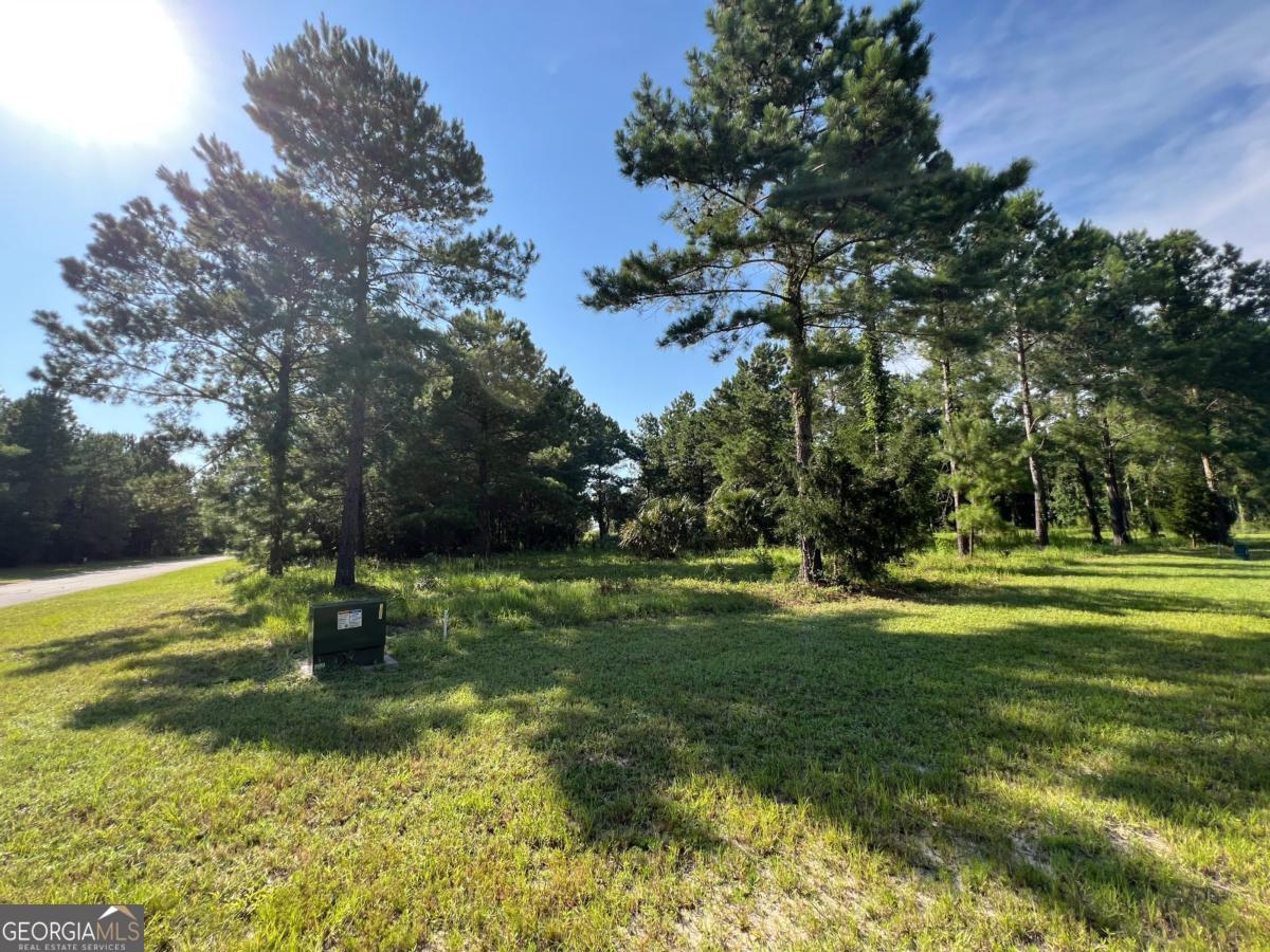 V/l 528 Beacon Pointe Parkway Property Photo 23
