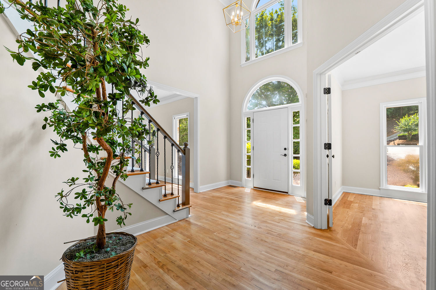 10795 Cauley Creek Drive Property Photo 6