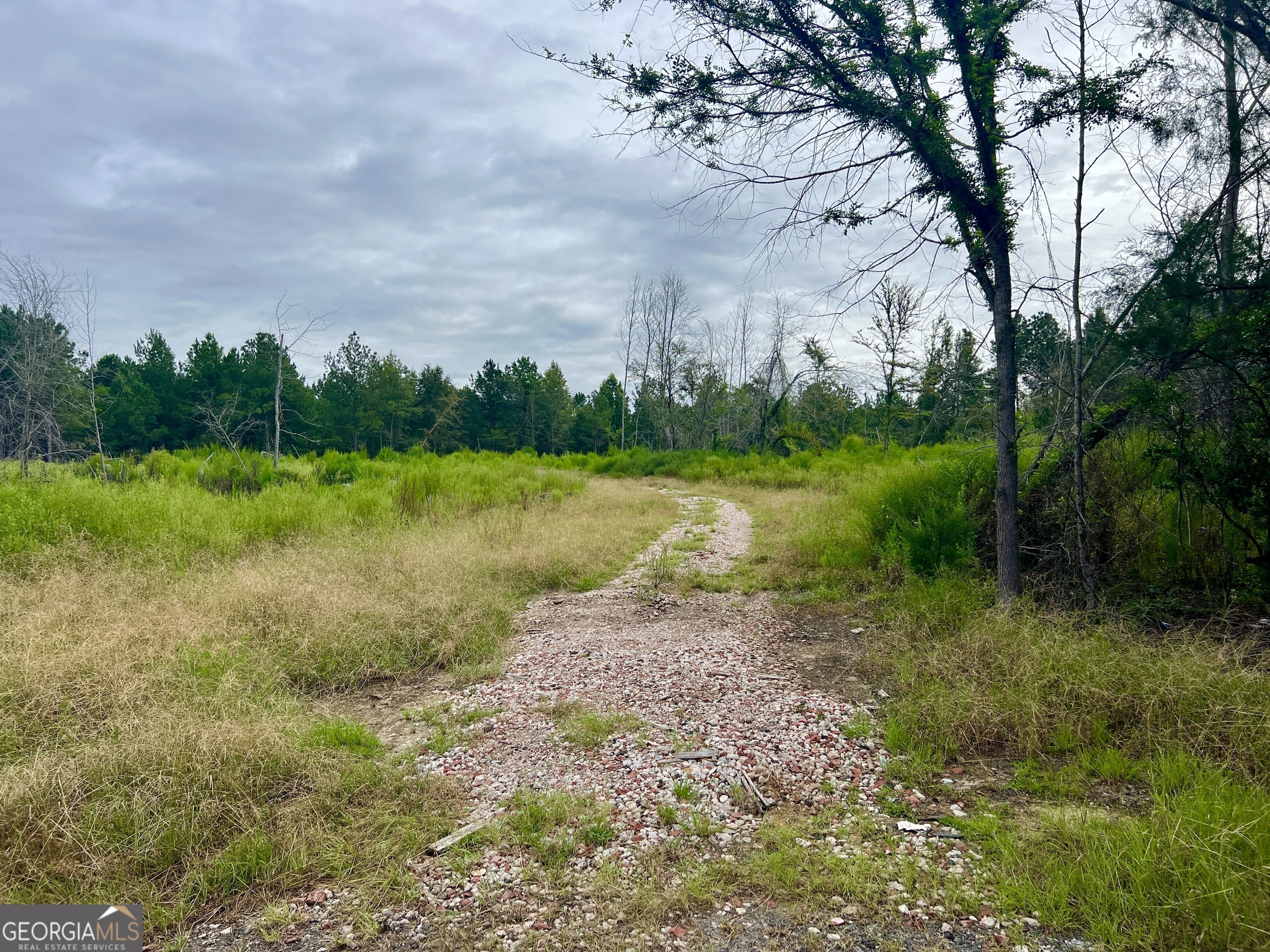 0 Old Ailey-lothair Road Property Photo 5
