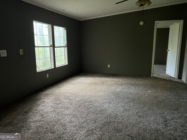4467 Timberland Circle Se Property Photo 8