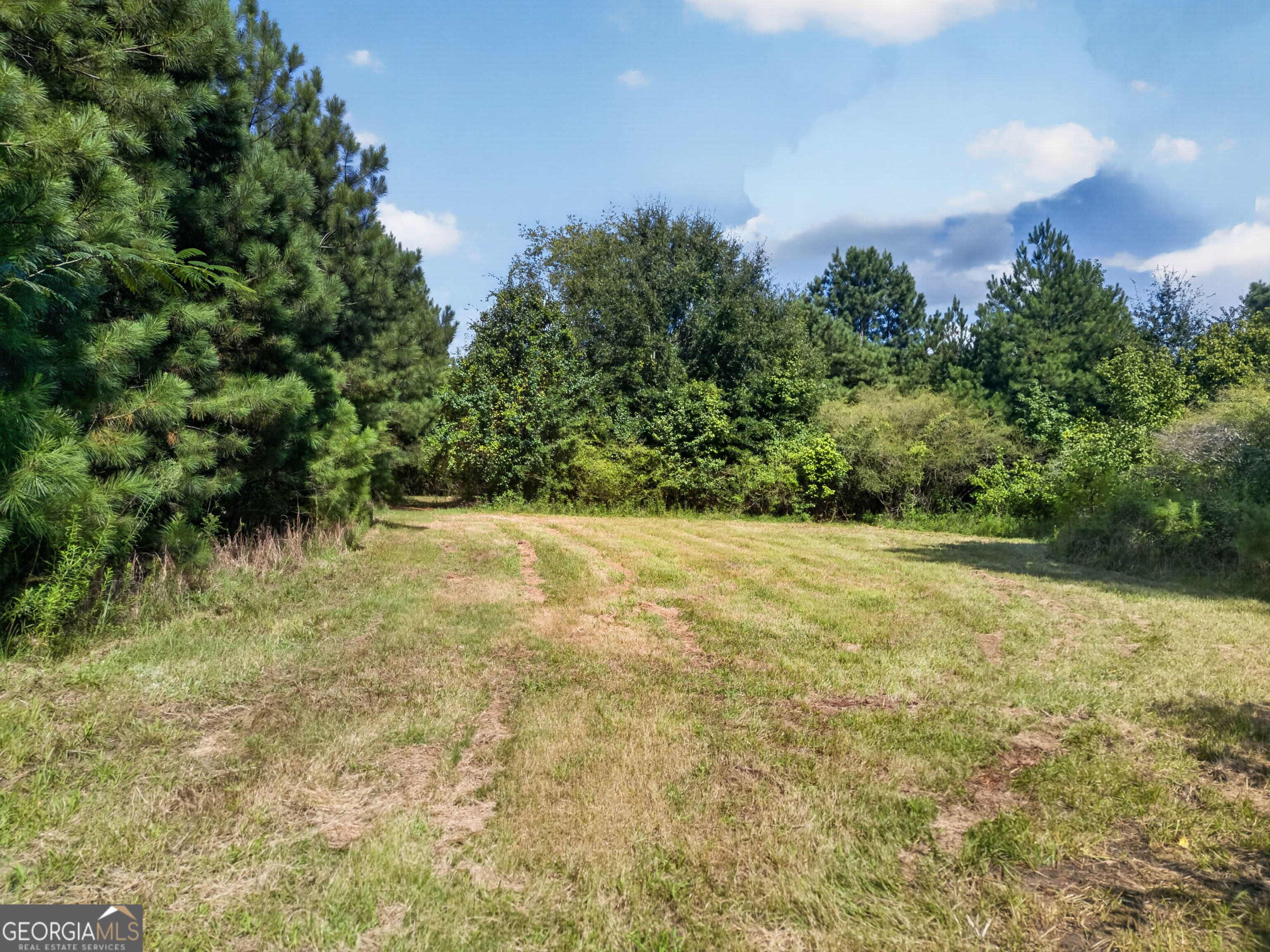 0 Parsons Property Photo 10