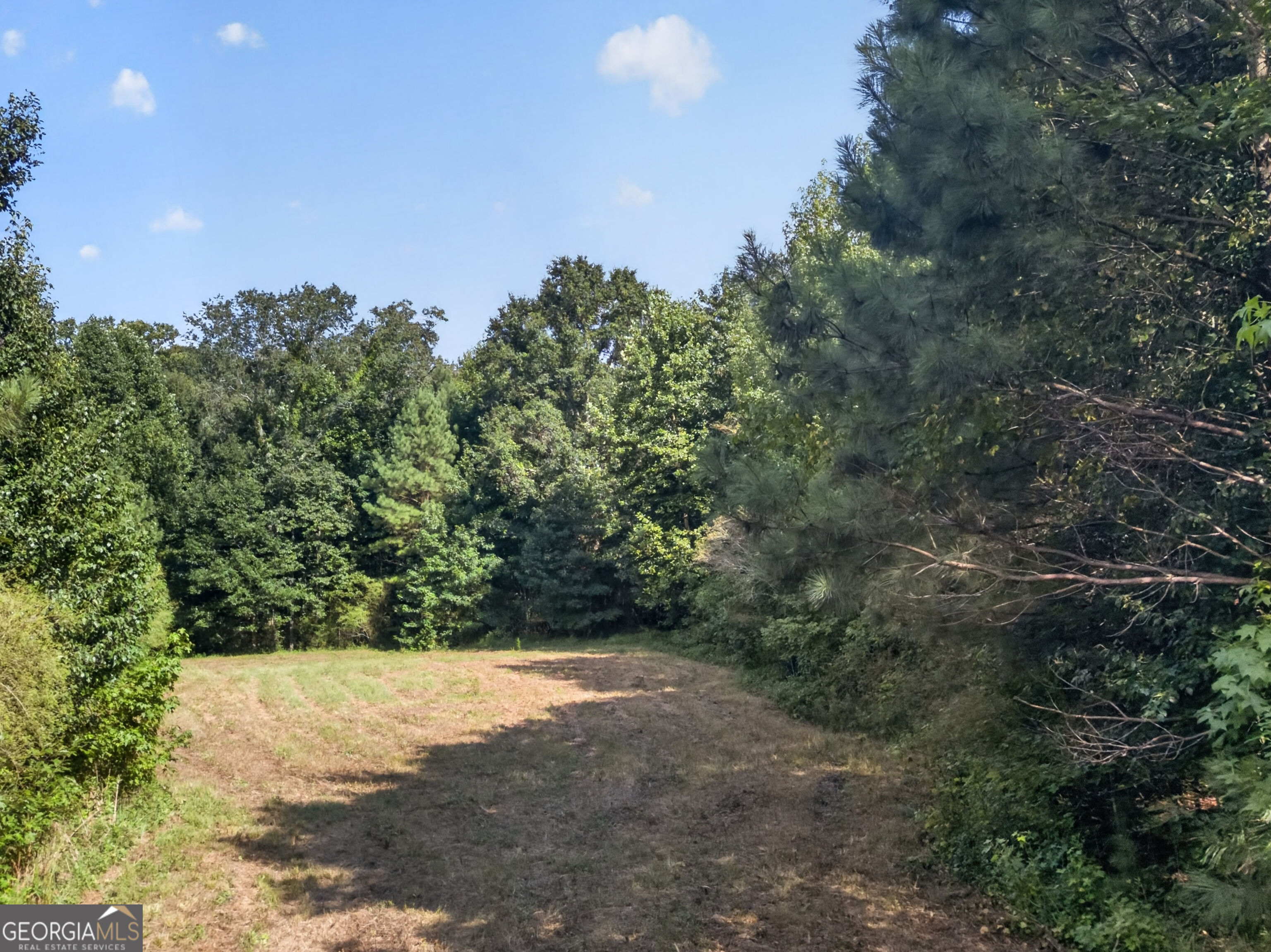 0 Parsons Property Photo 11