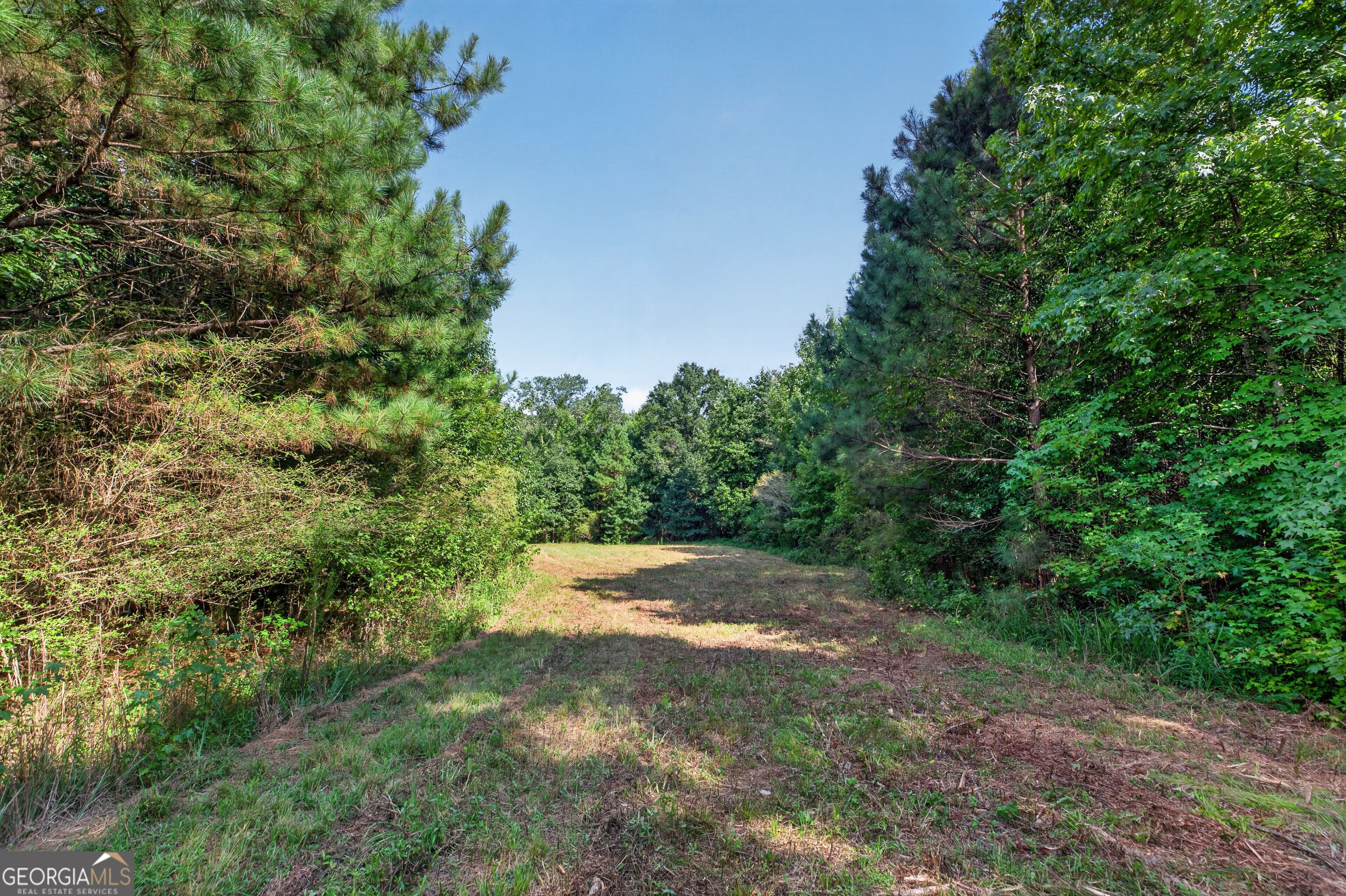 0 Parsons Property Photo 12