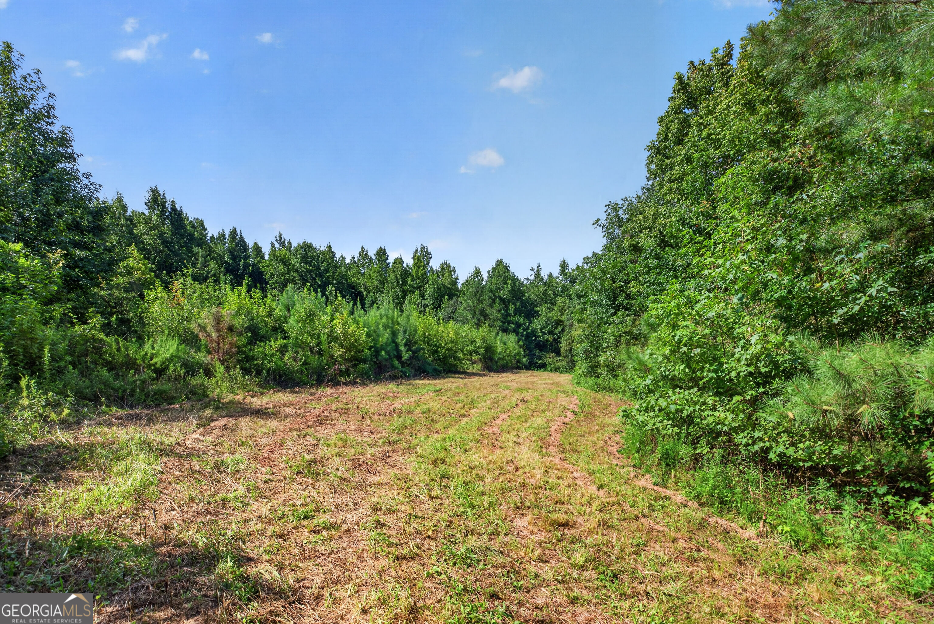 0 Parsons Property Photo 13