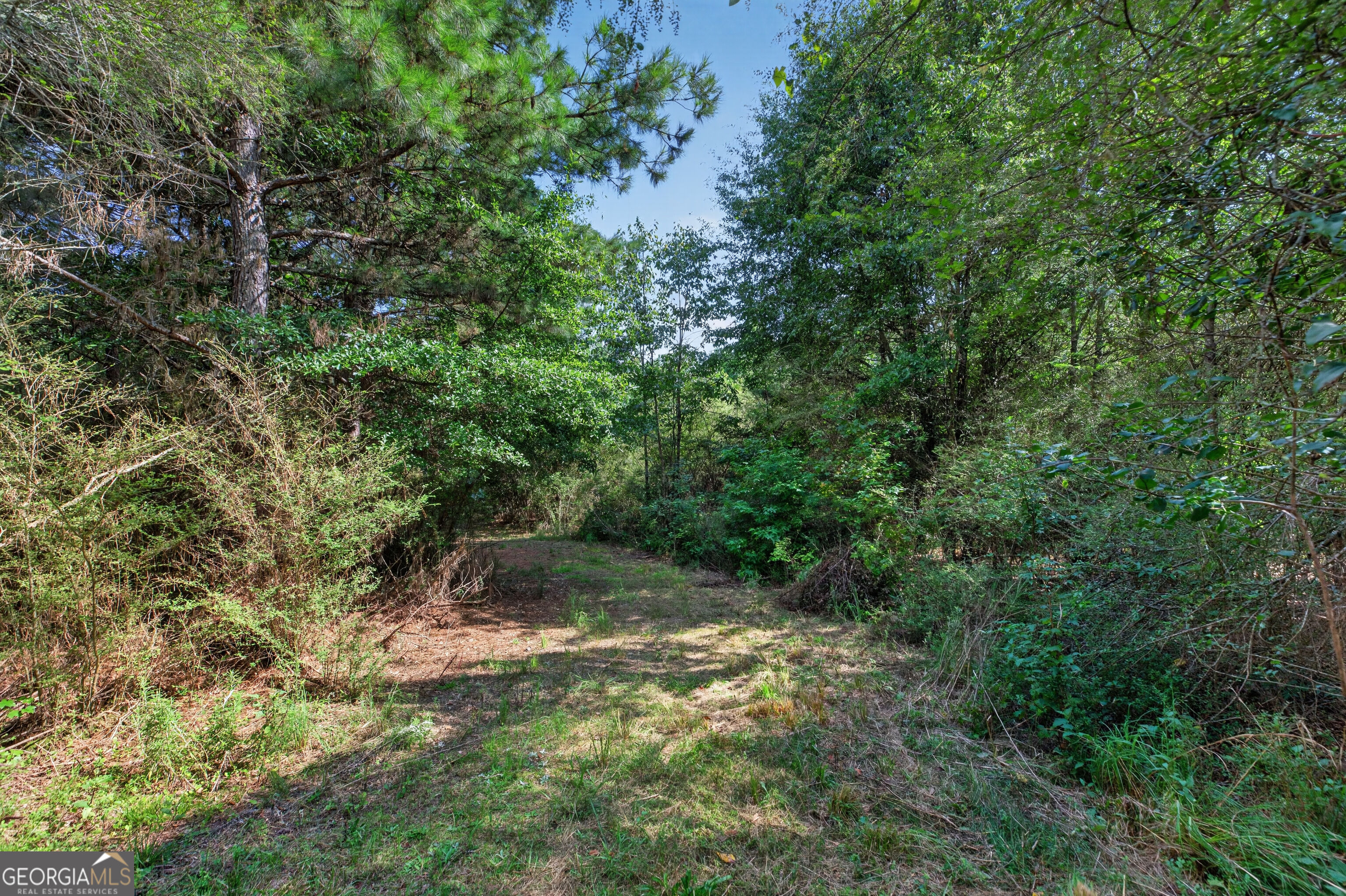 0 Parsons Property Photo 15