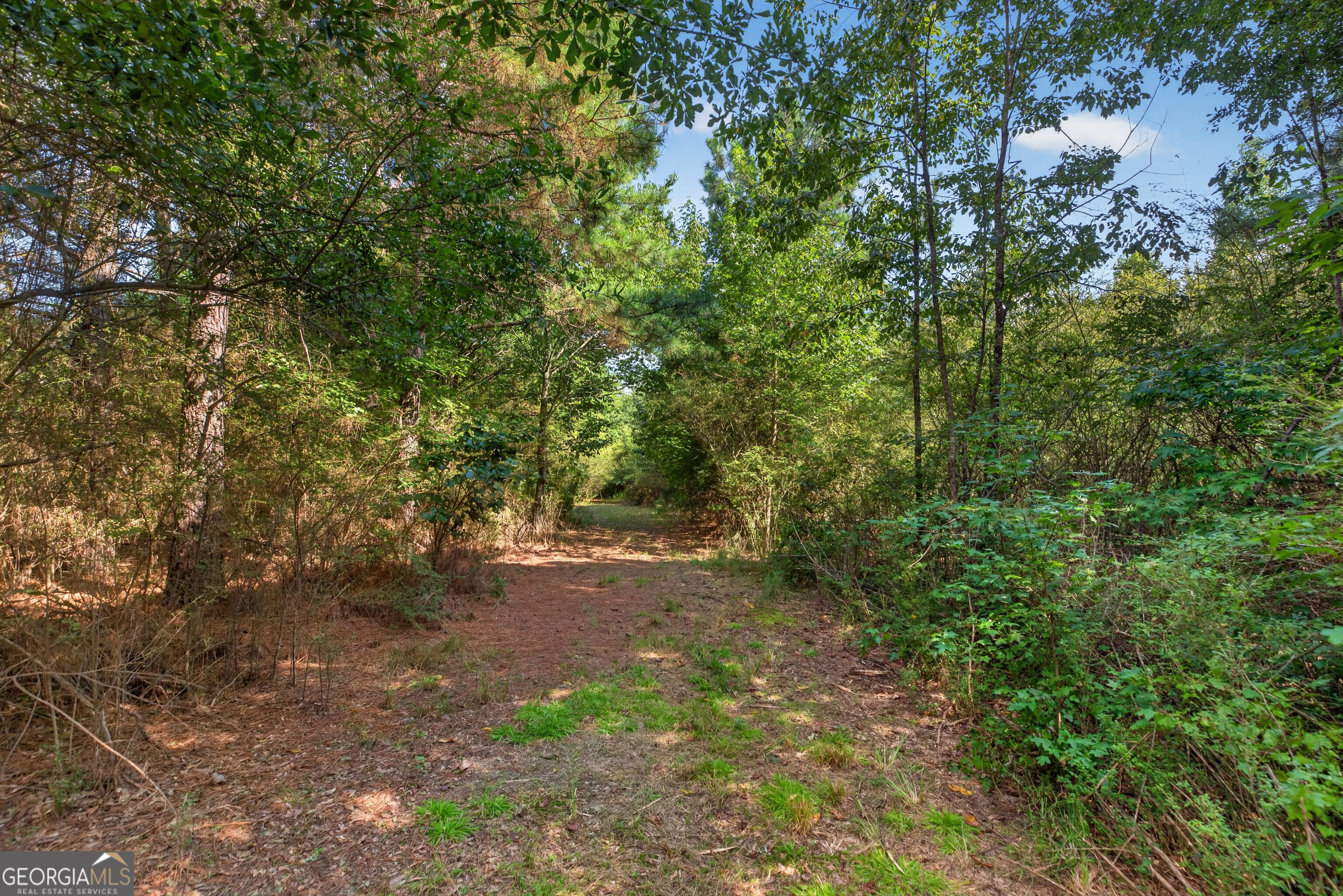 0 Parsons Property Photo 16