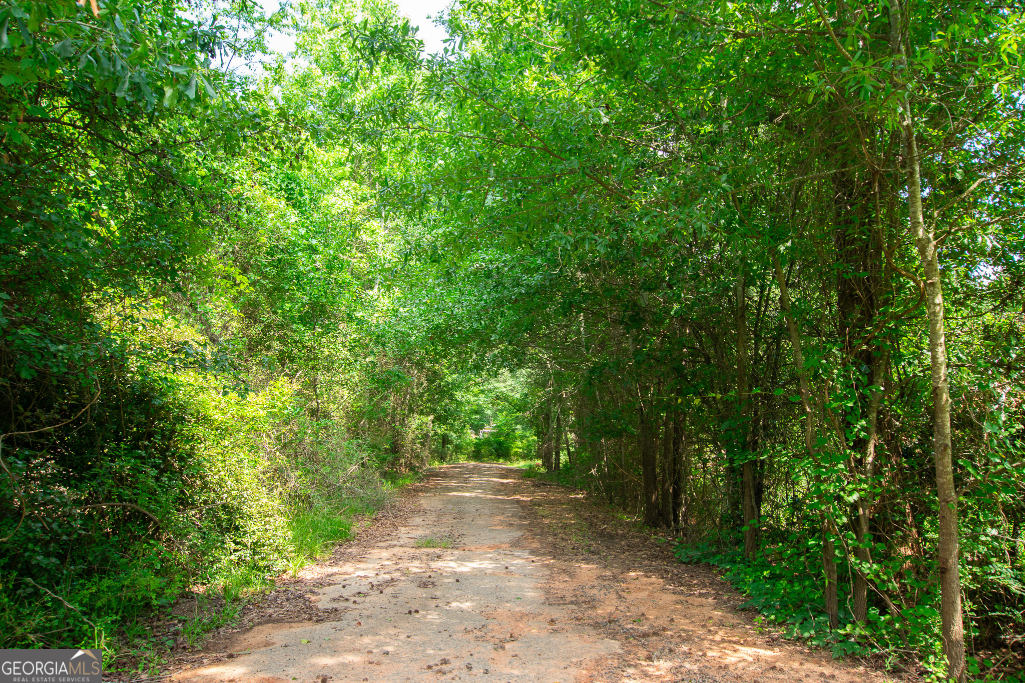 200 Chenault (9.34 +/- Acres) Road Property Photo 38