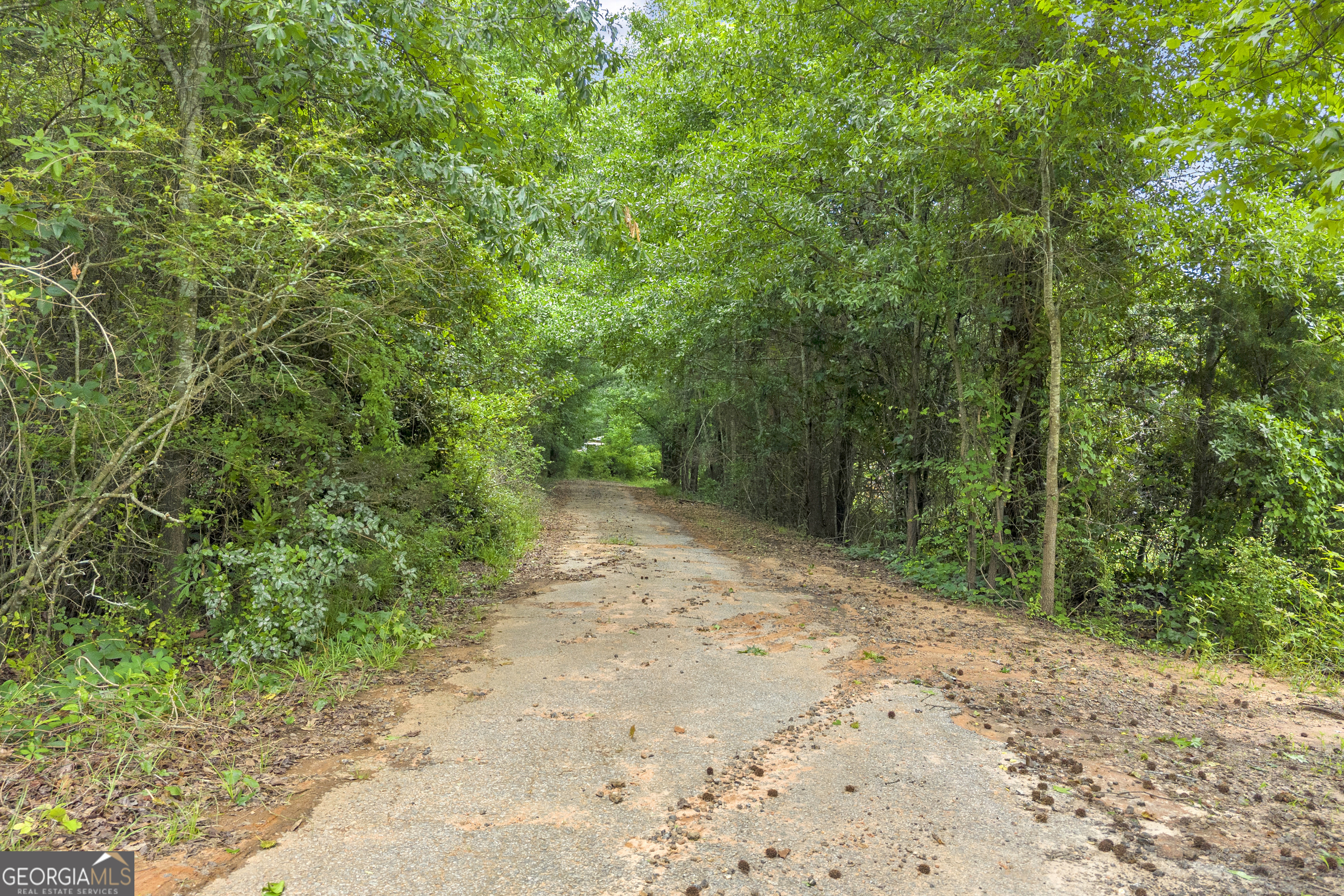 200 Chenault (9.34 +/- Acres) Road Property Photo 68
