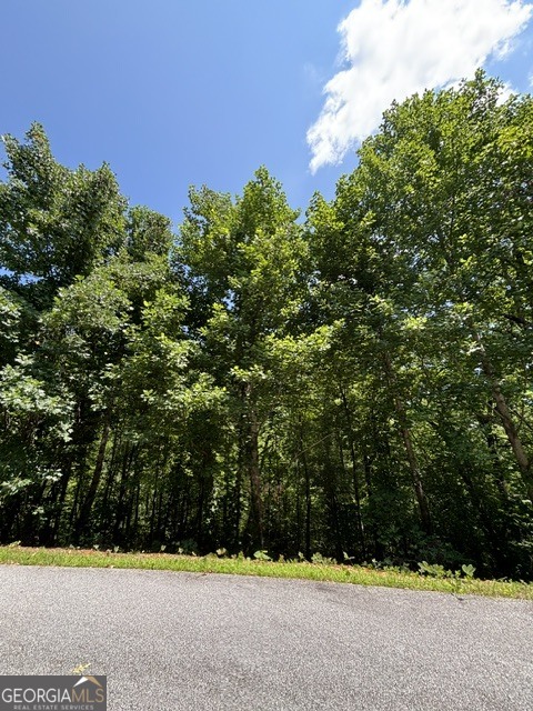 Lot #5 King Mountain Drive Property Photo 2