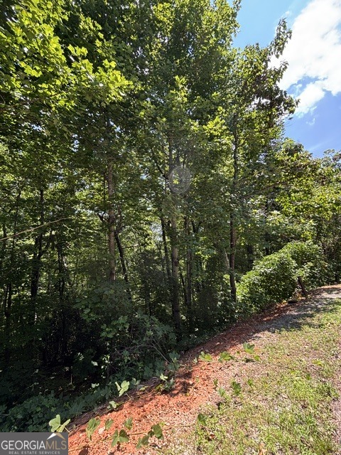 Lot #5 King Mountain Drive Property Photo 3