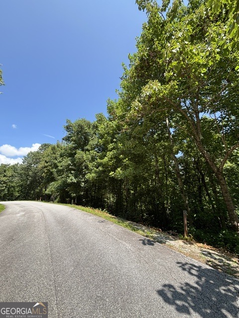 Lot #5 King Mountain Drive Property Photo 5