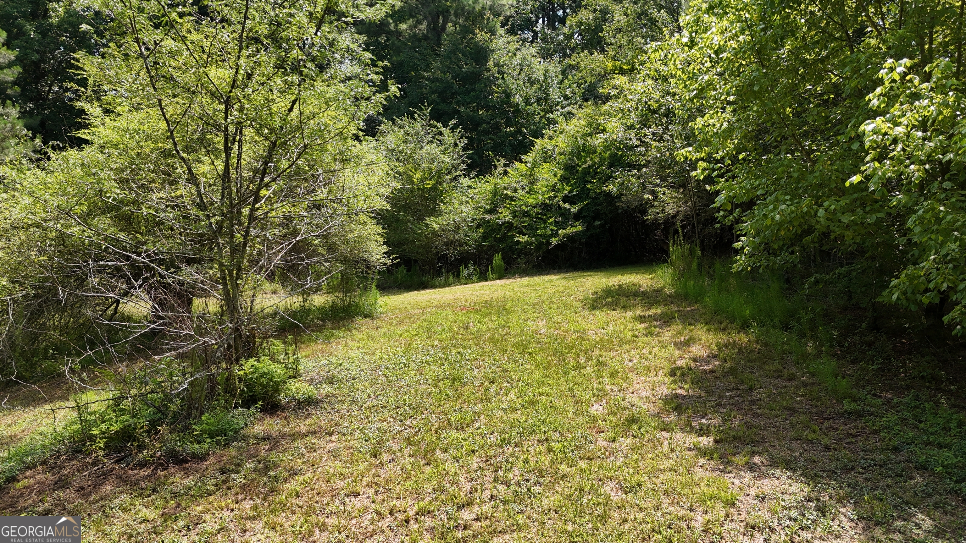 3729 Duncan Bridge Road Property Photo 44