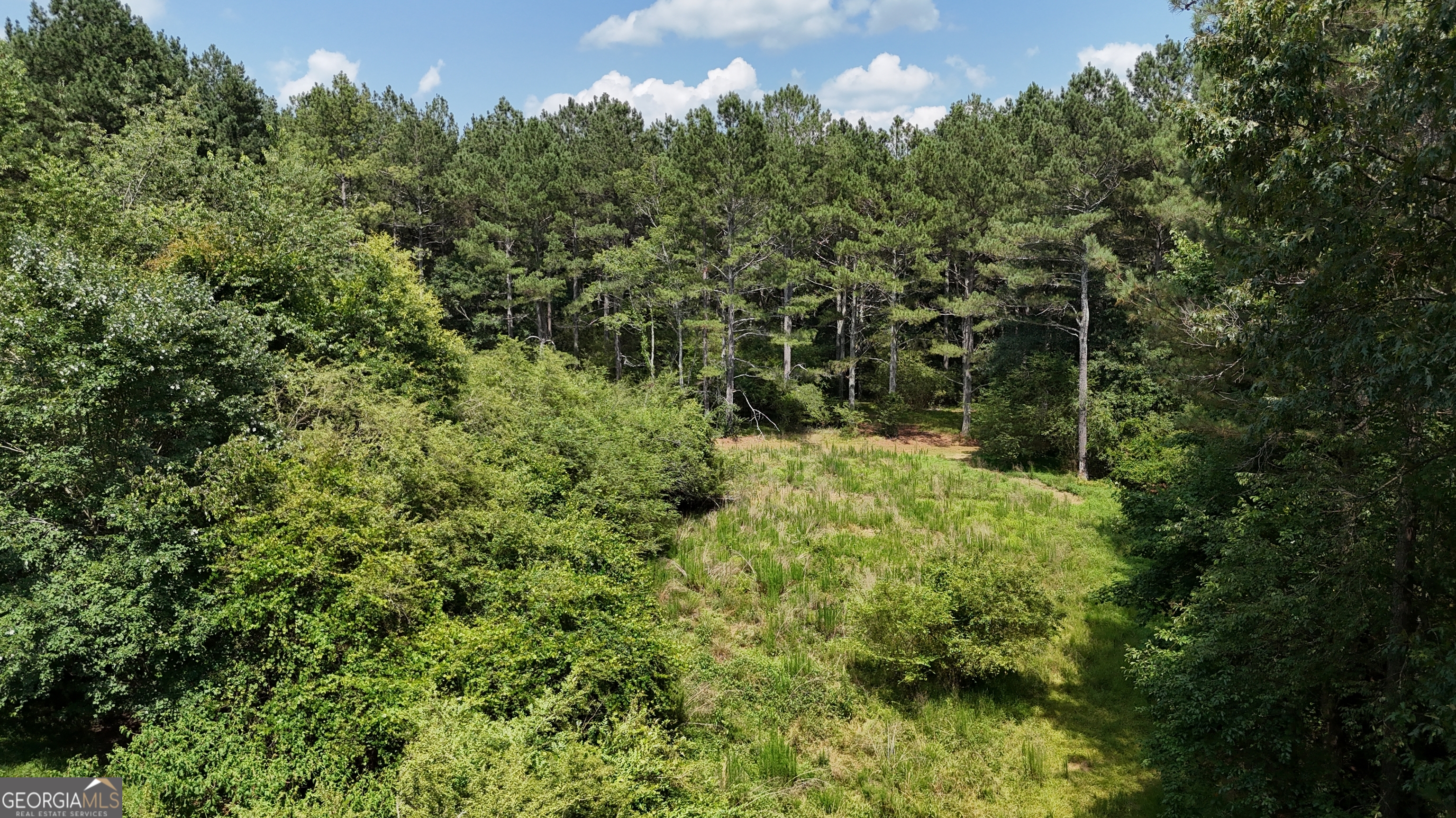 3729 Duncan Bridge Road Property Photo 48