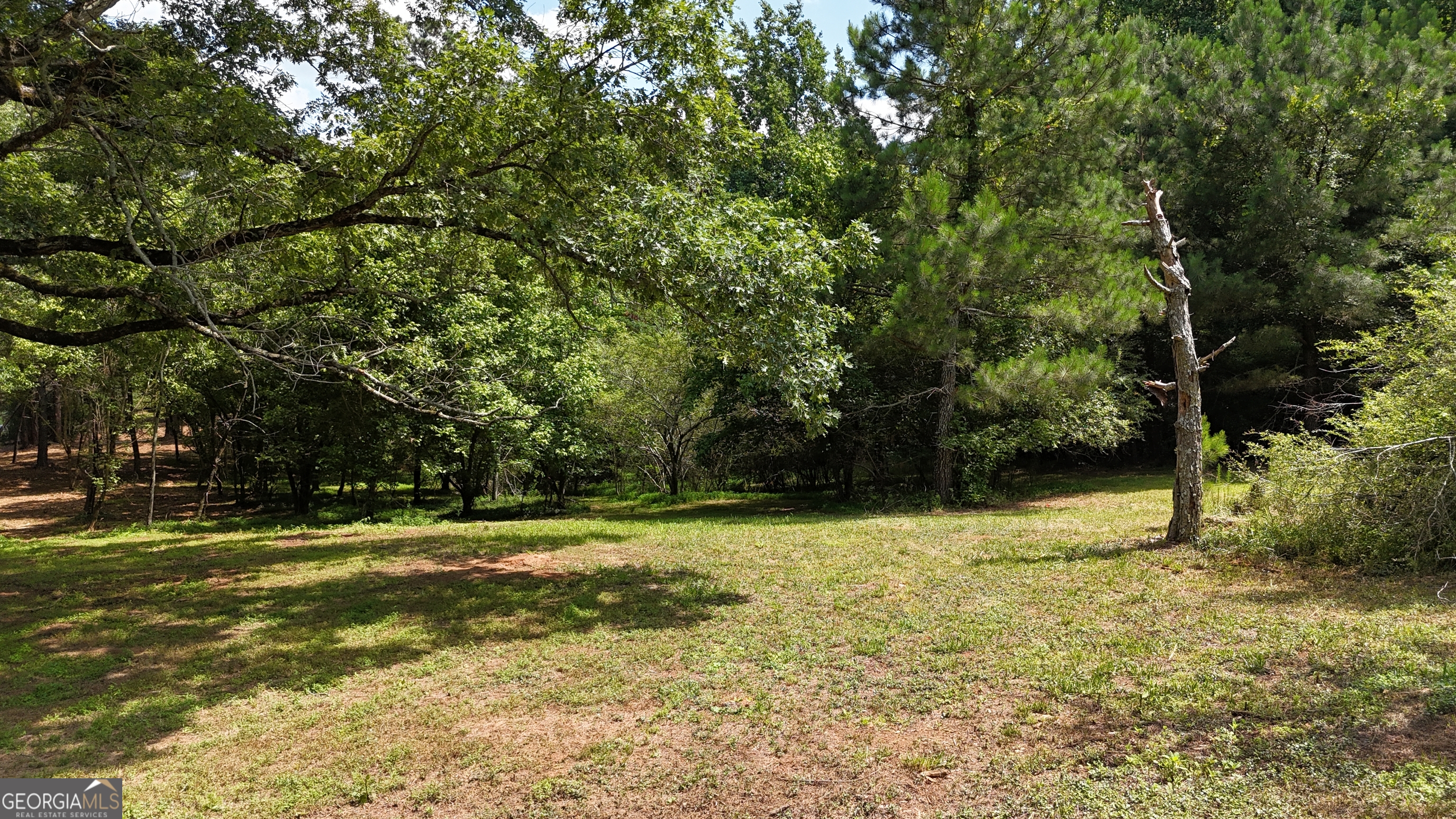 3729 Duncan Bridge Road Property Photo 52