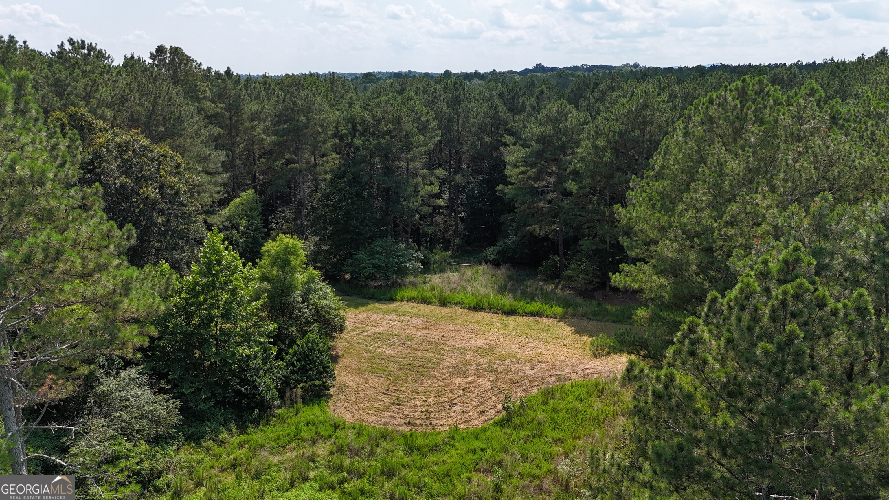 3729 Duncan Bridge Road Property Photo 53