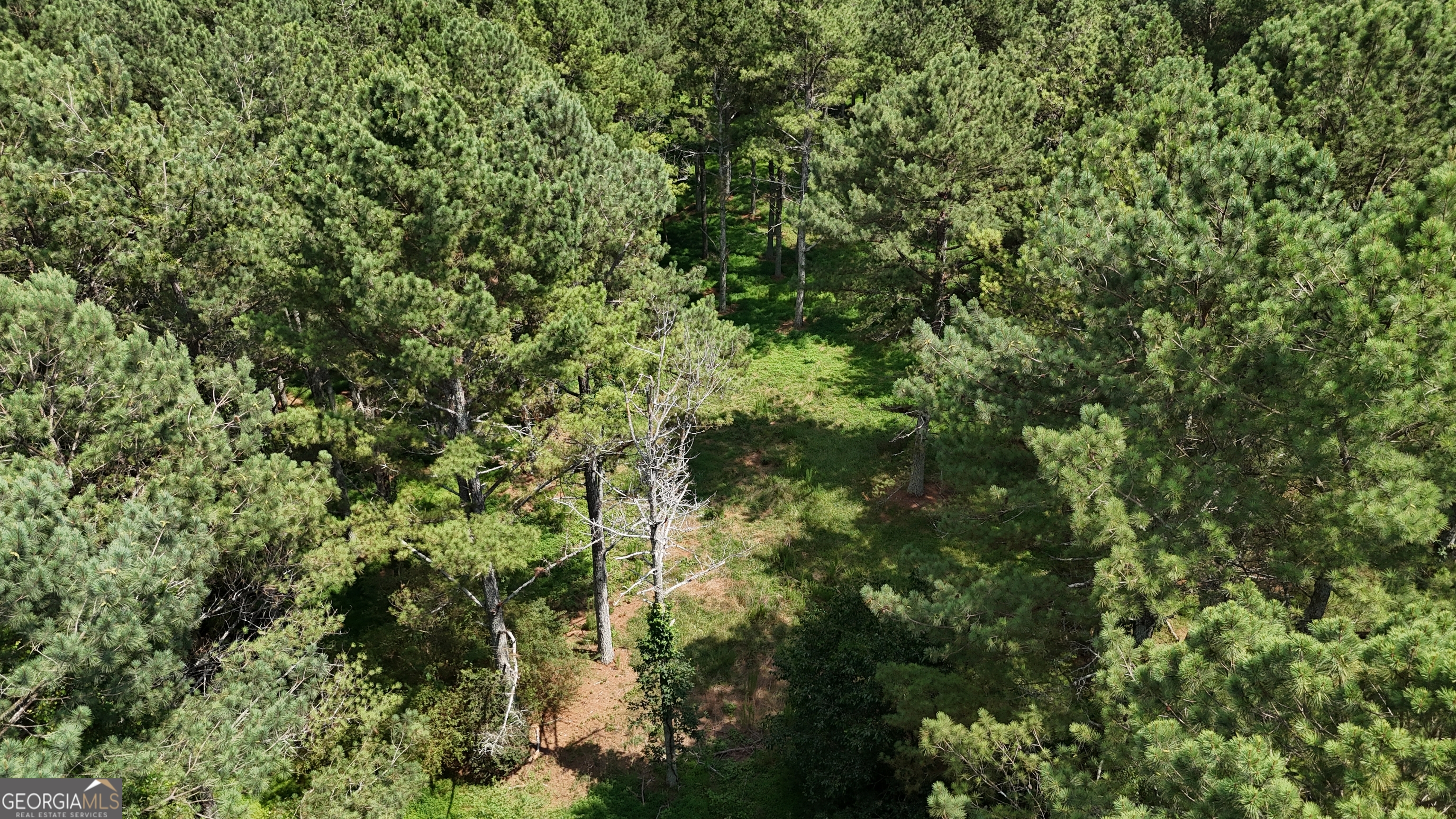 3729 Duncan Bridge Road Property Photo 54