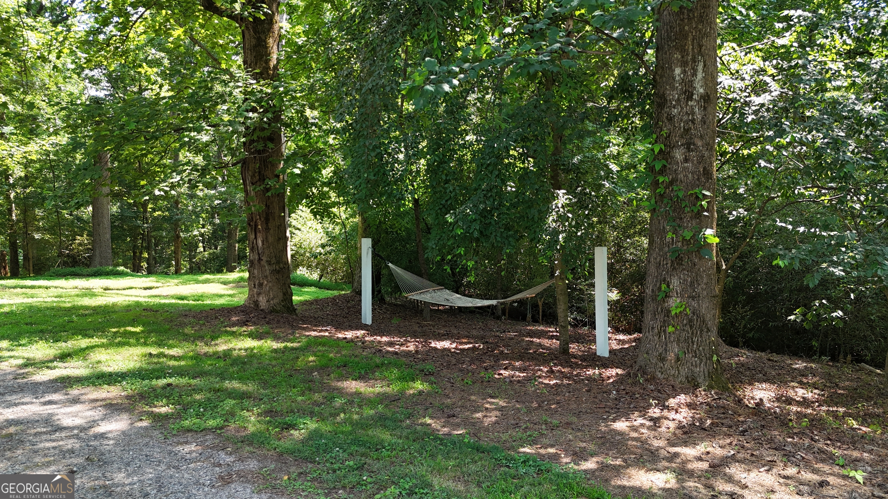 3729 Duncan Bridge Road Property Photo 59