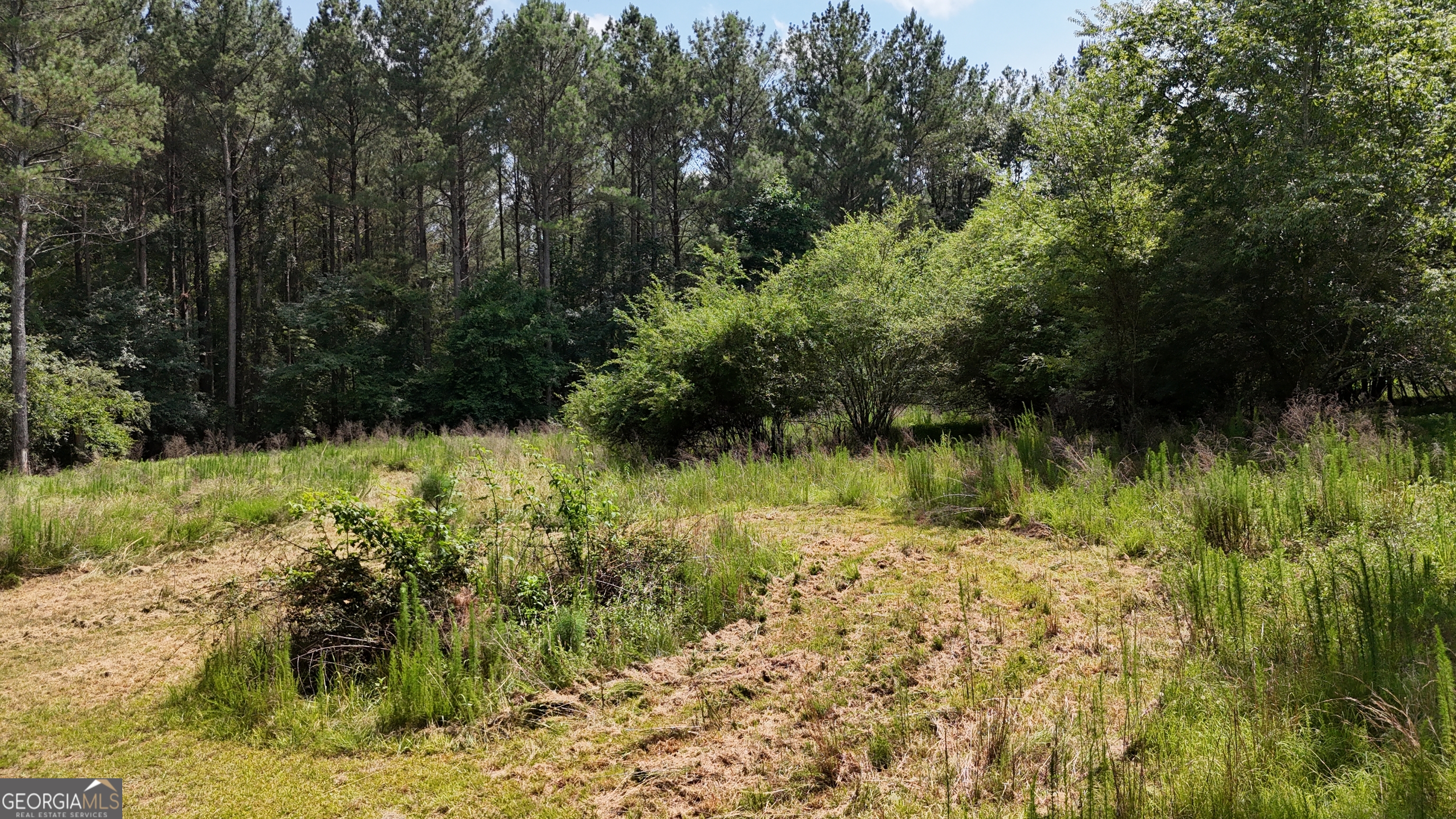 3729 Duncan Bridge Road Property Photo 60