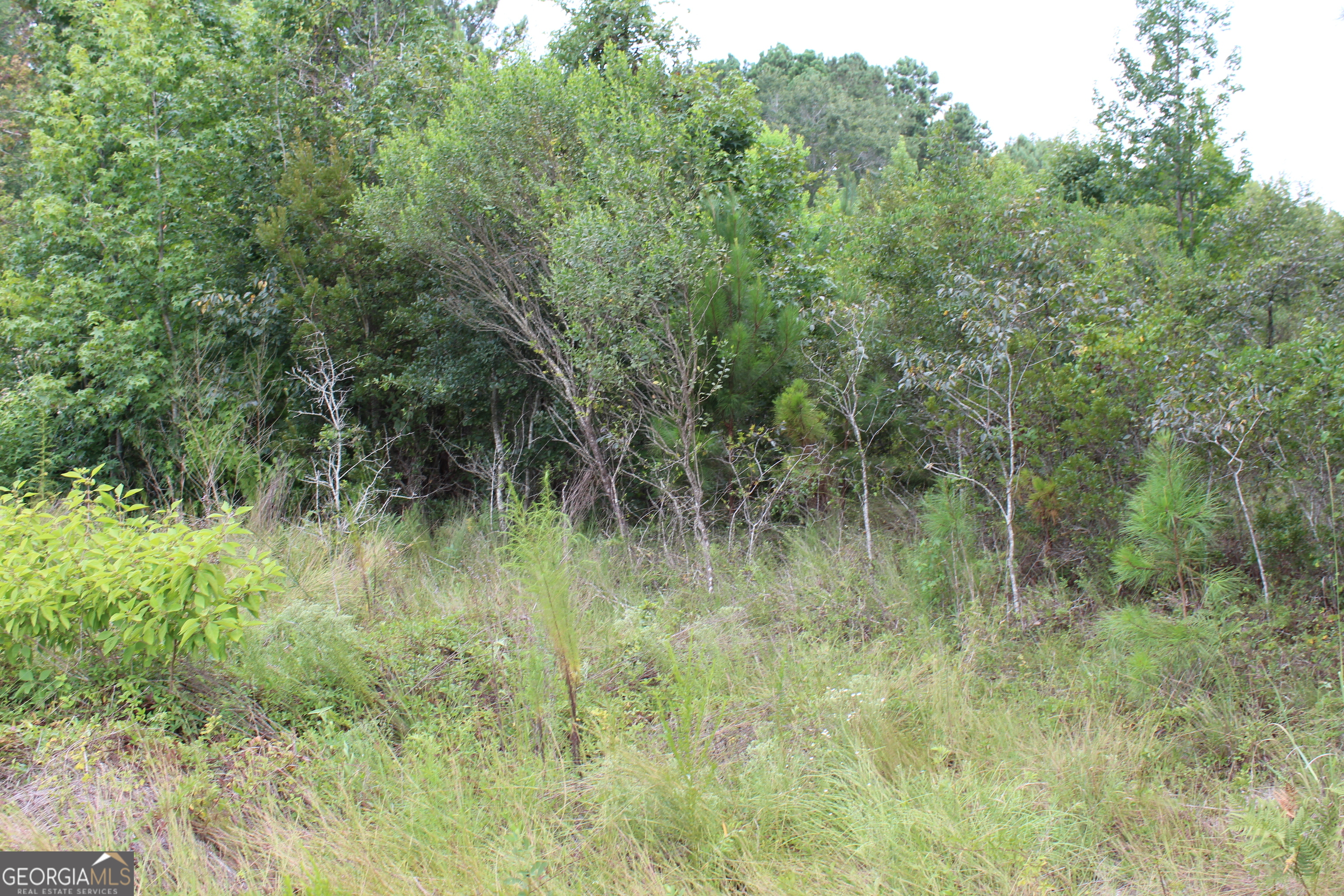 0 Alberson Road Property Photo 1