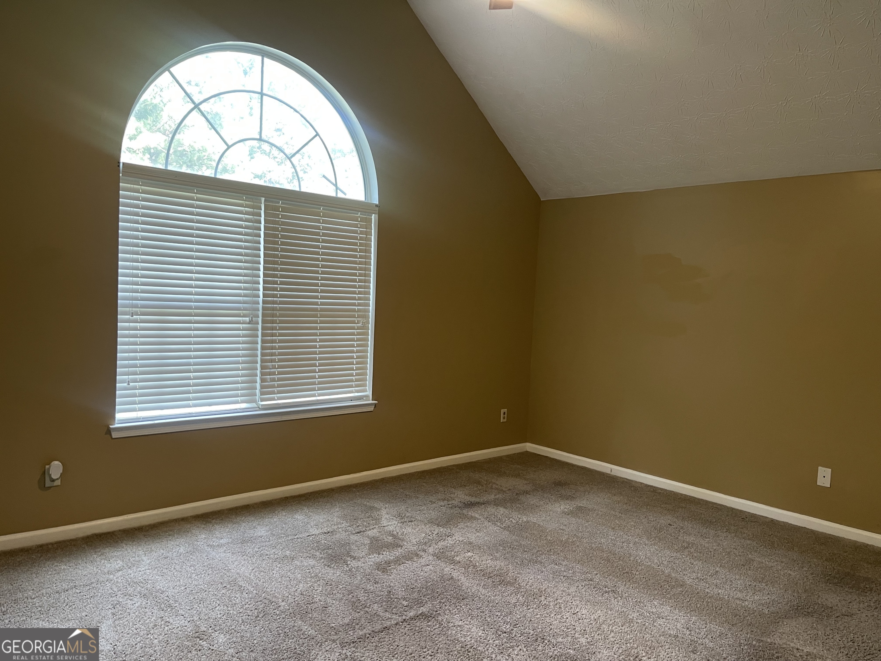 11053 Aliyah Drive Property Photo 15