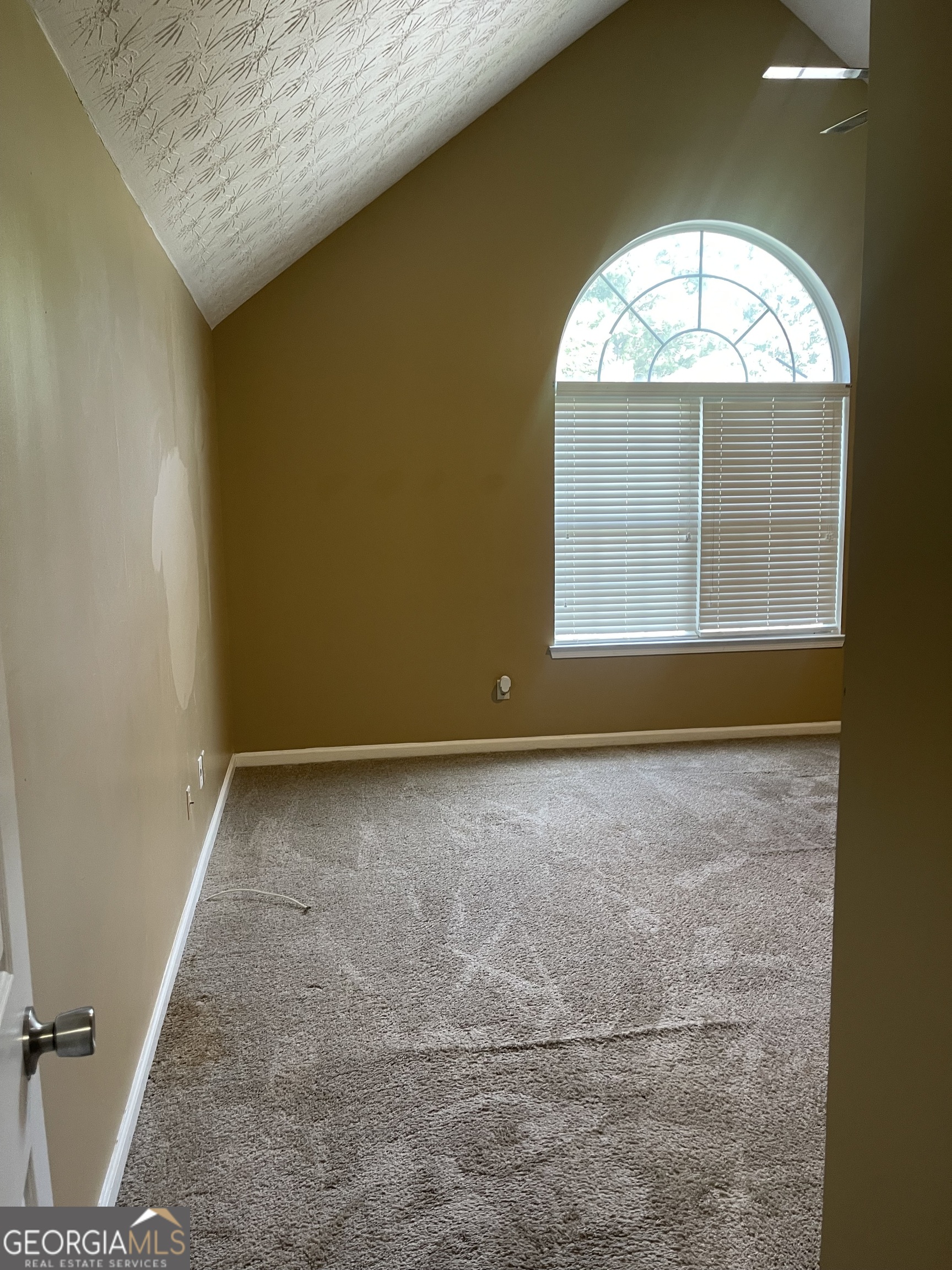 11053 Aliyah Drive Property Photo 16
