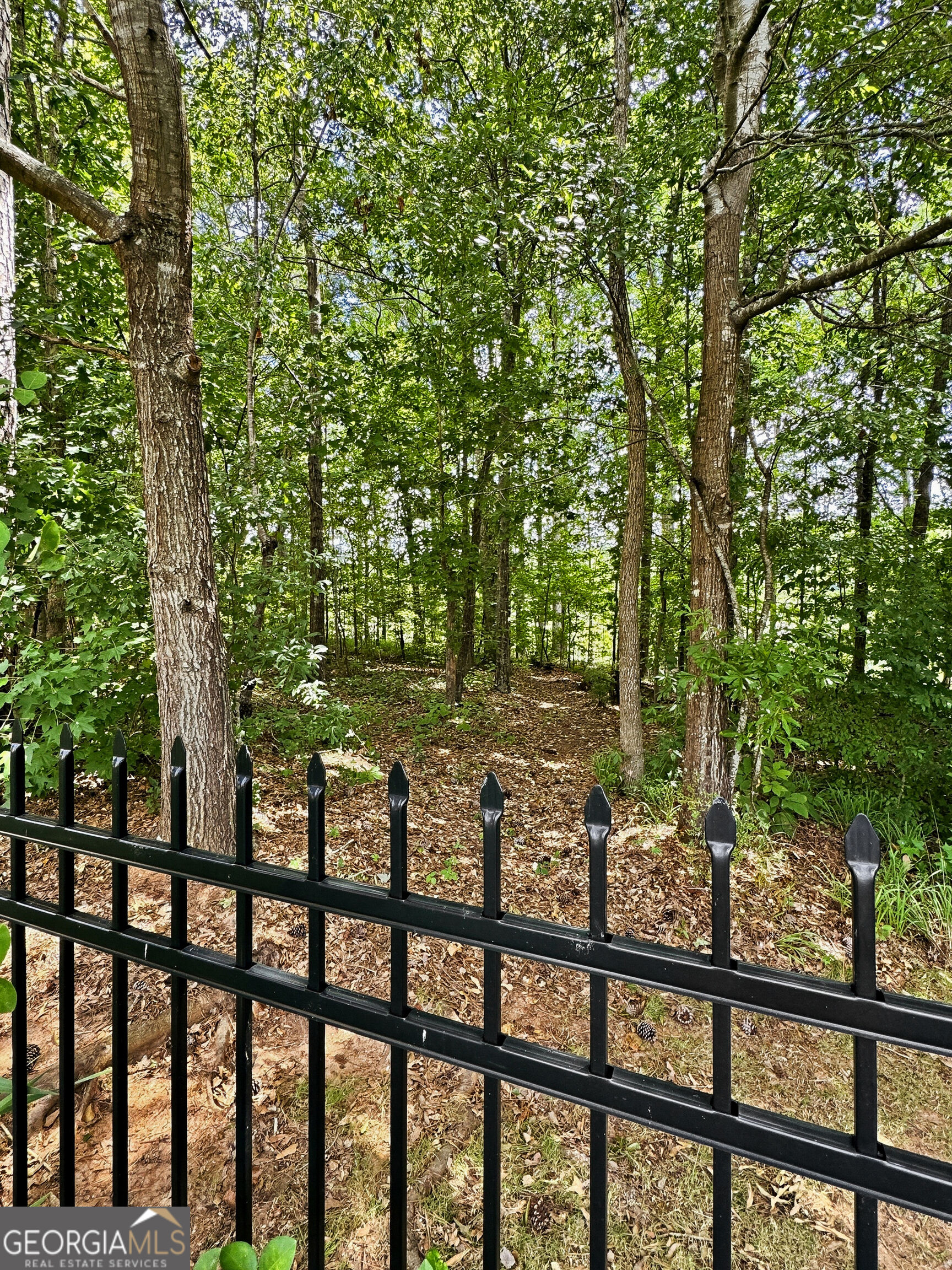 1141 Pebble Creek Lane Property Photo 53