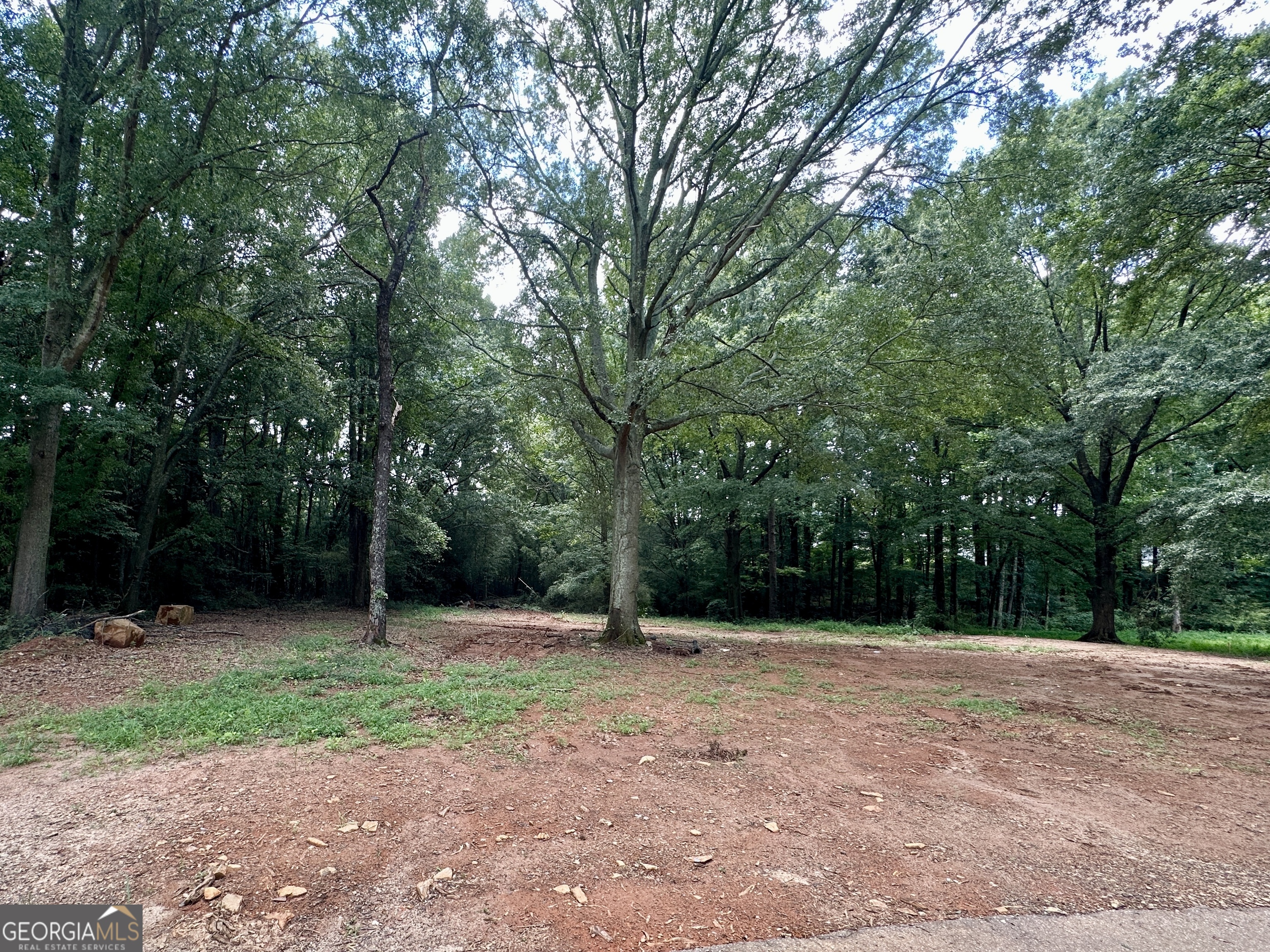 Lot 1 Pine Street - 1 Acre Property Photo 3