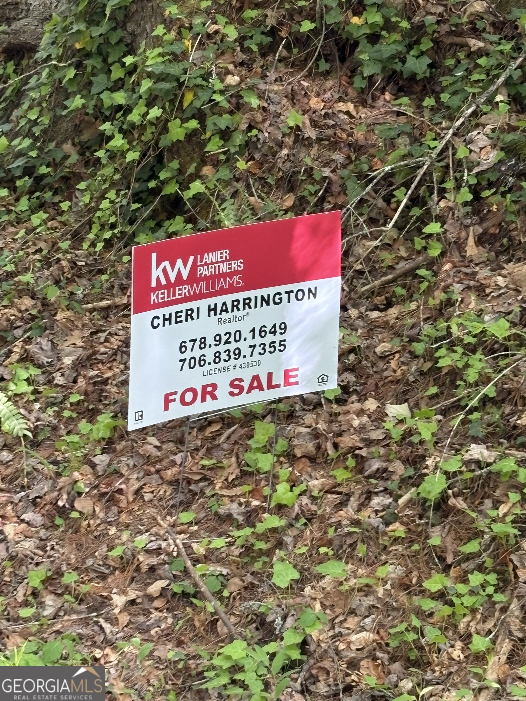 0 Western Way Property Photo 3
