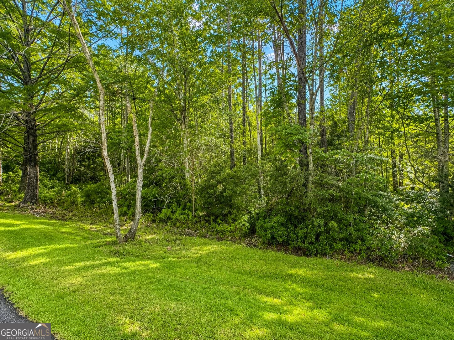 LOT 163 La Terra Lane