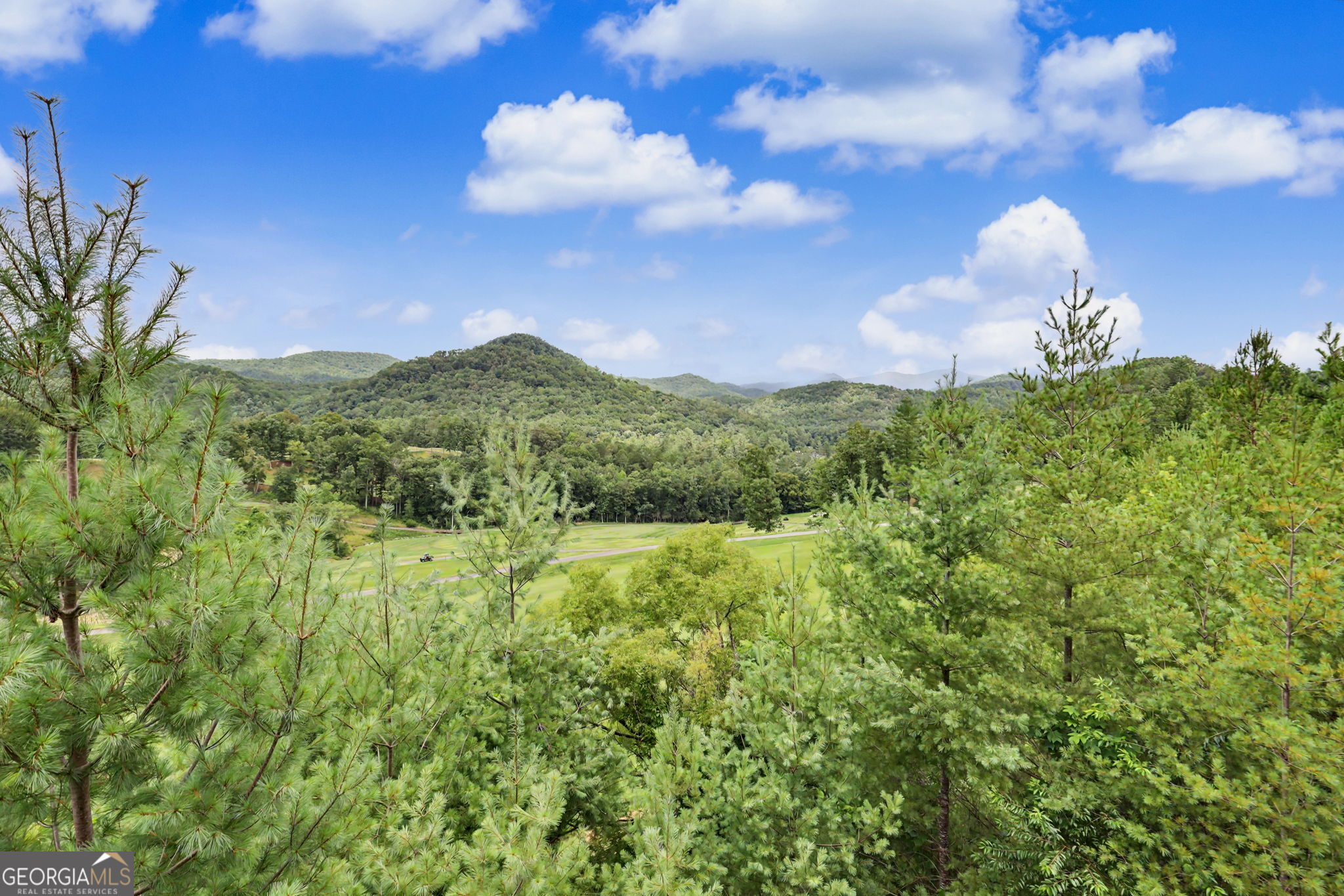 394 Bent Grass Way Property Photo 48
