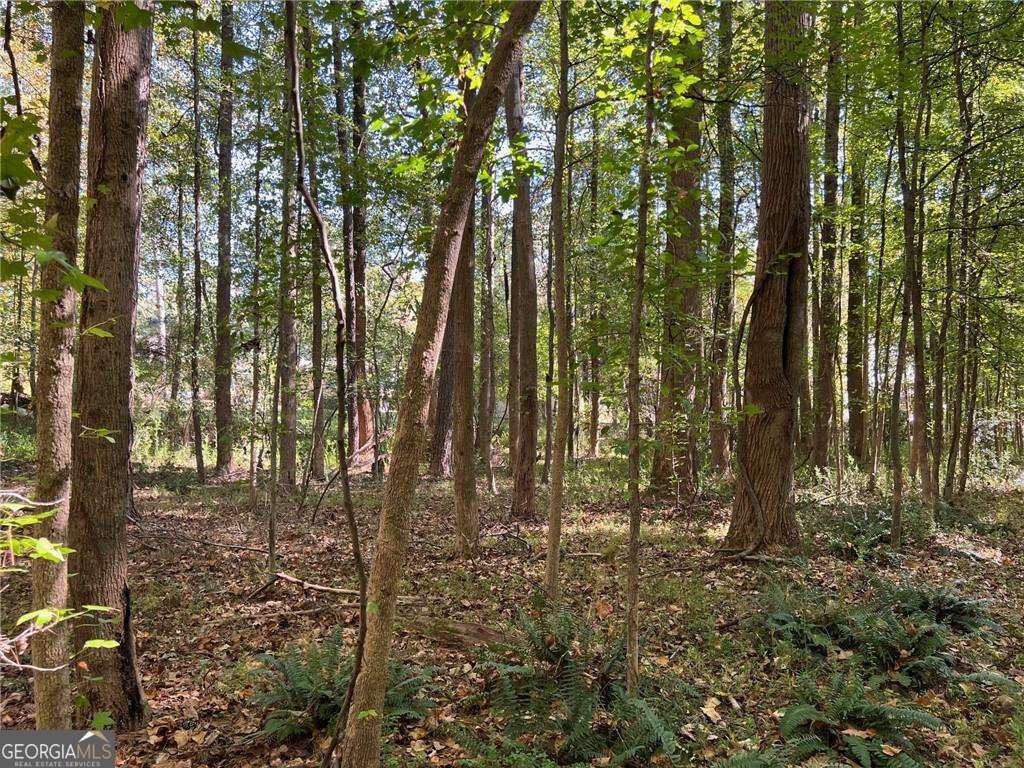 5334 Pounds Drive N Property Photo 5