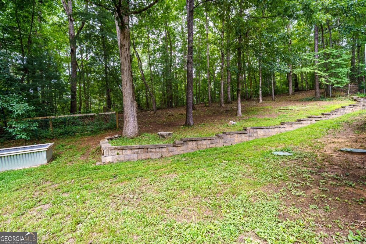 387 Leonard Evans Road Property Photo 61