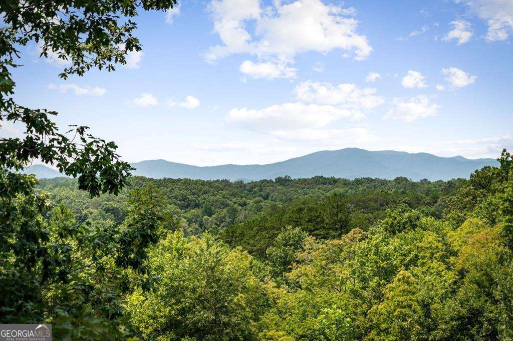 185 Austin Mountain Road Property Photo 13