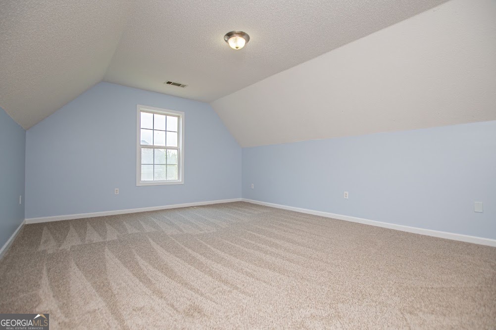 233 Ivey Lake Parkway Property Photo 49
