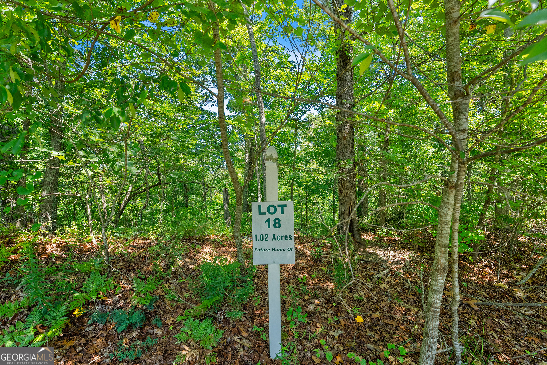 0 Flat Rock Point Property Photo 7