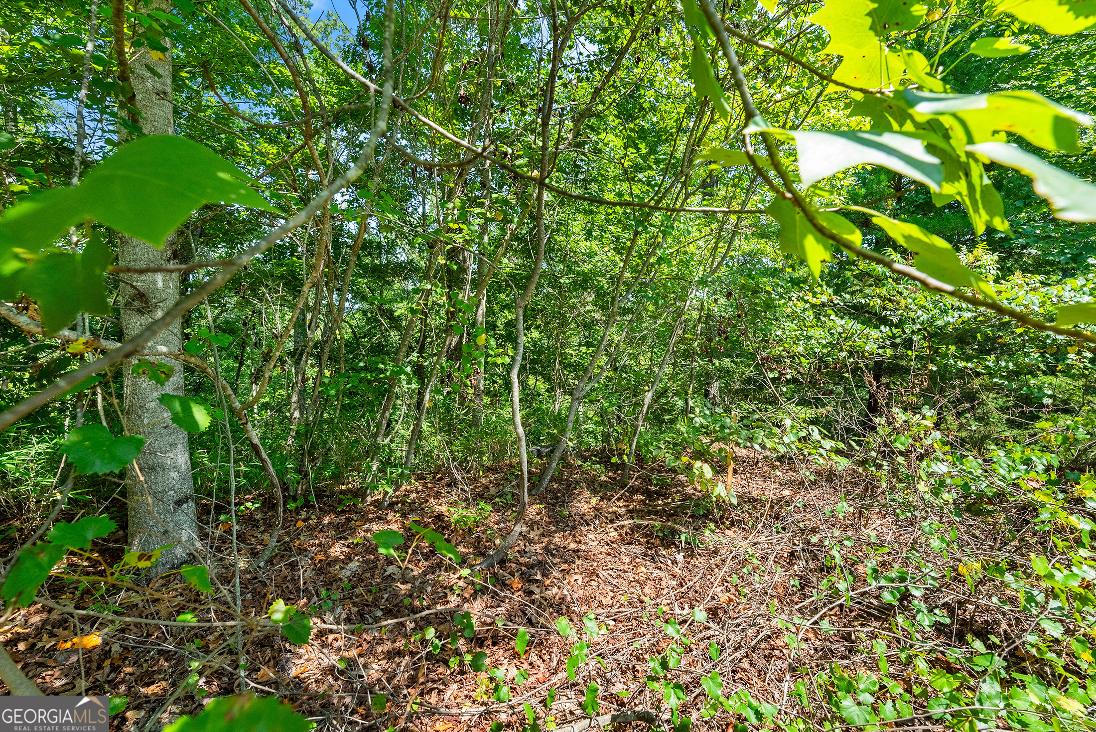 0 Flat Rock Point Property Photo 8