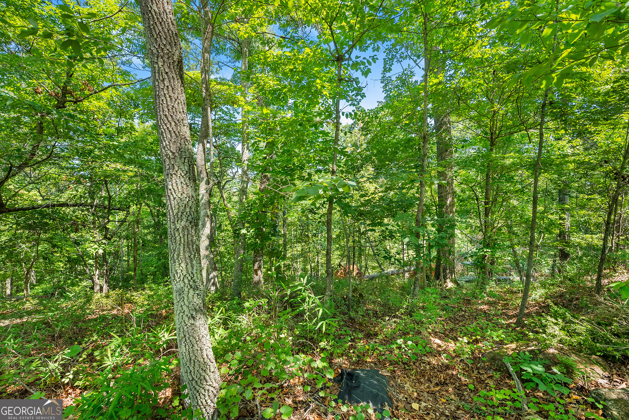 0 Flat Rock Point Property Photo 9