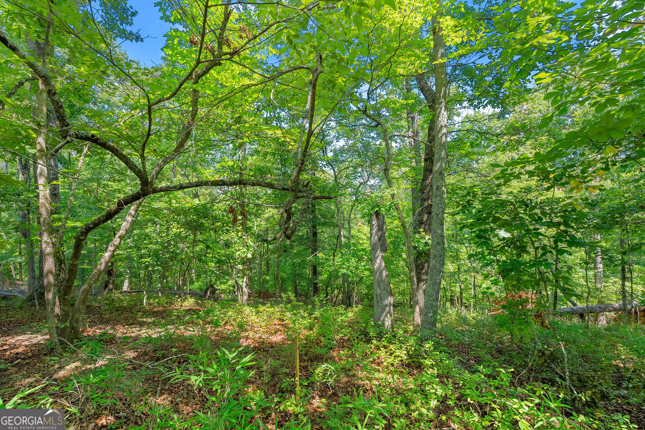 0 Flat Rock Point Property Photo 10