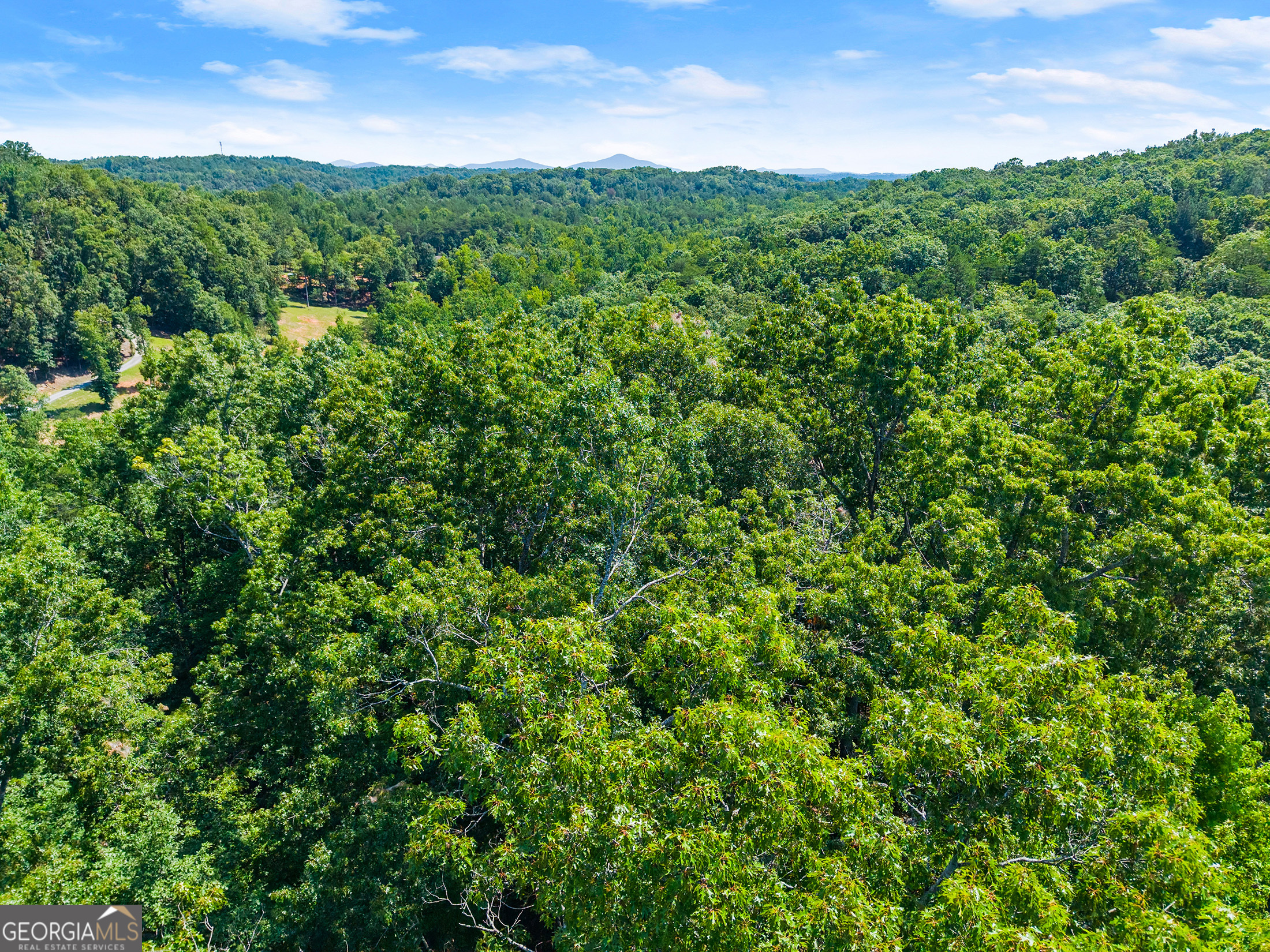 0 Flat Rock Point Property Photo 22