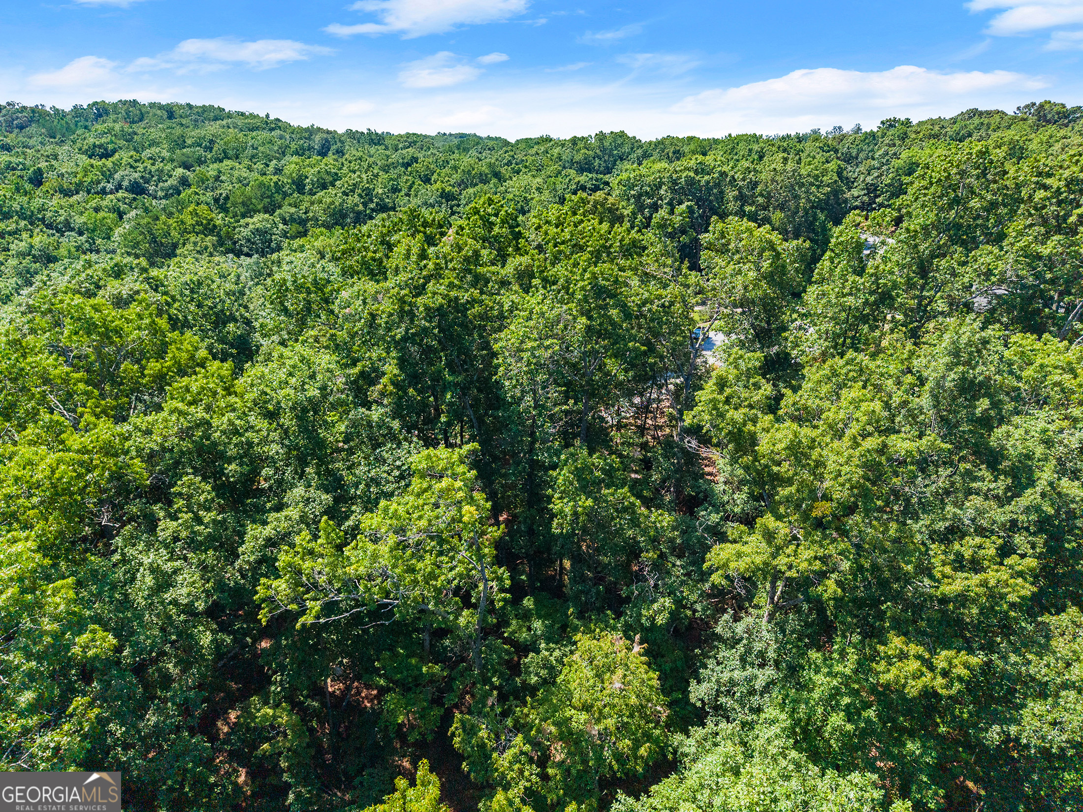 0 Flat Rock Point Property Photo 23
