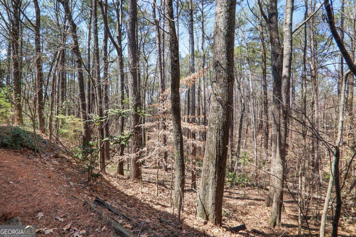 210 Woodcliff Drive Property Photo 20