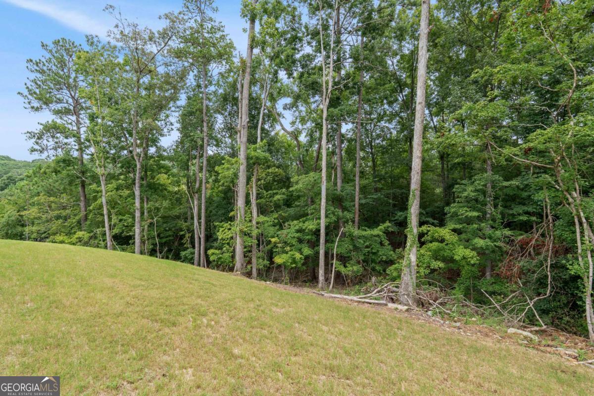 149 Silvercrest Drive Property Photo 56