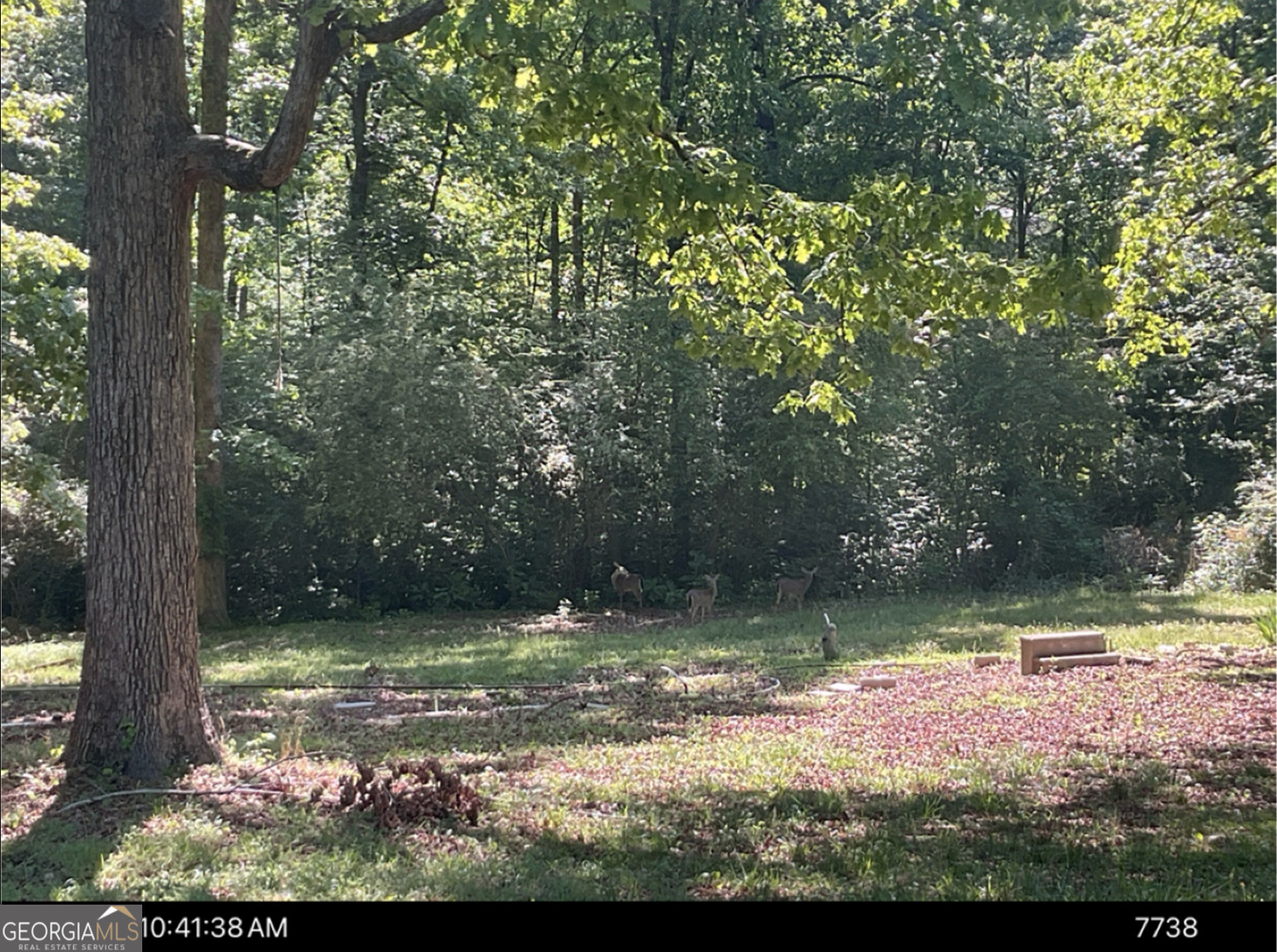 106 Melba Drive Property Photo 3
