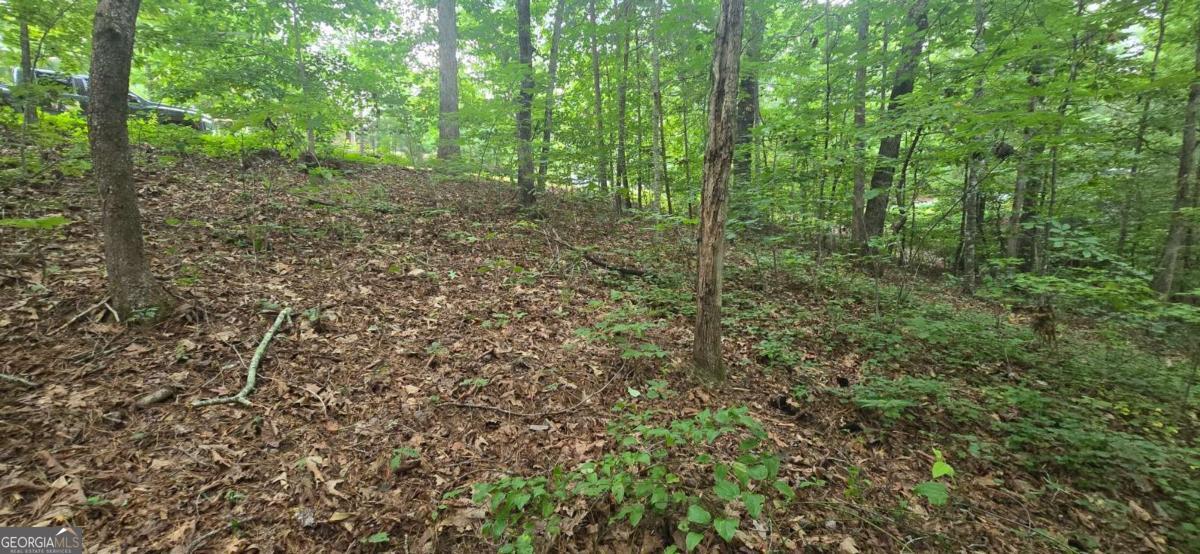 Lot 9 Harris Creek Drive Property Photo 2